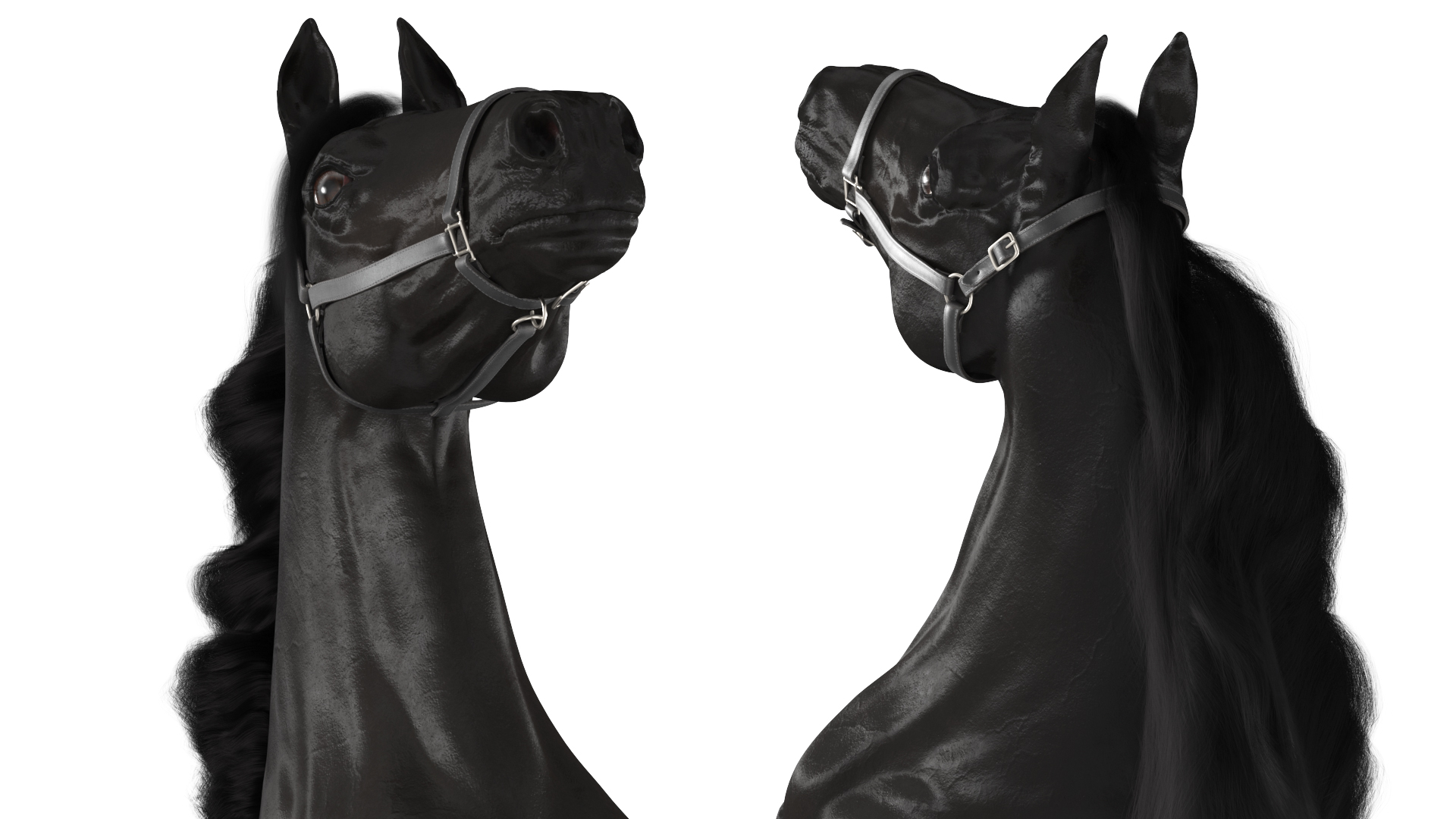 3D Bucking Friesian Horse Fur