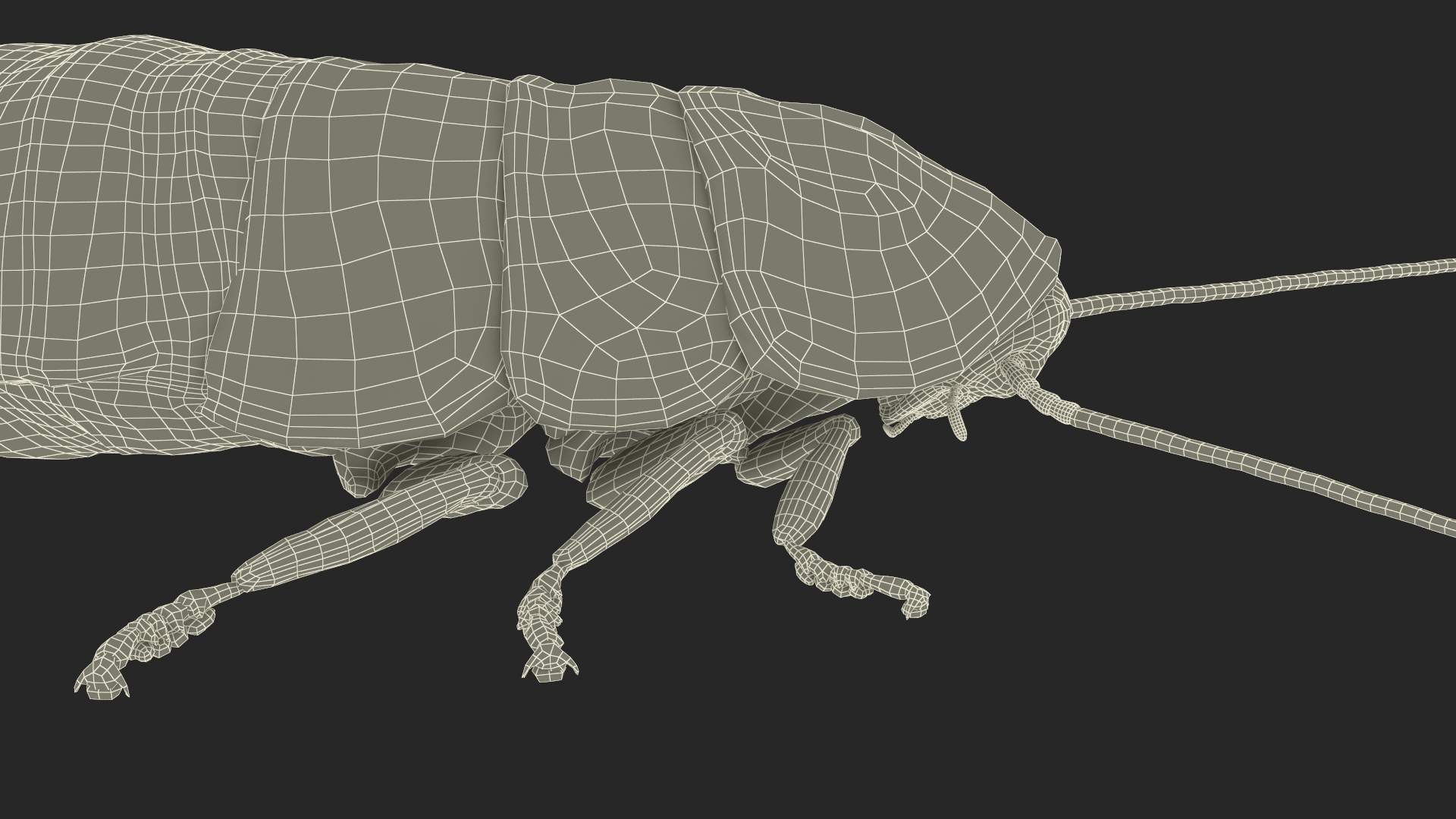 Cryptocercus Clevelandi with Fur 3D