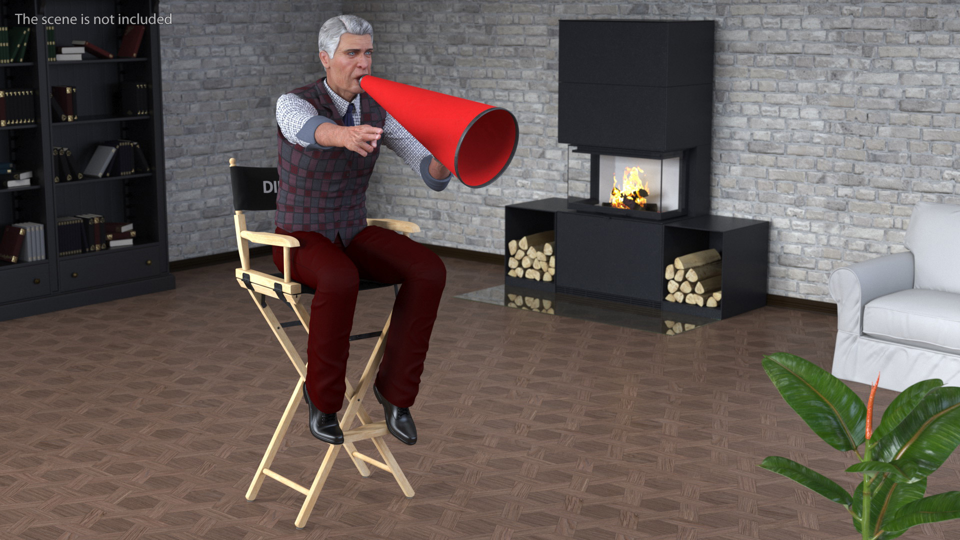 3D Movie Director on Tall Chair model