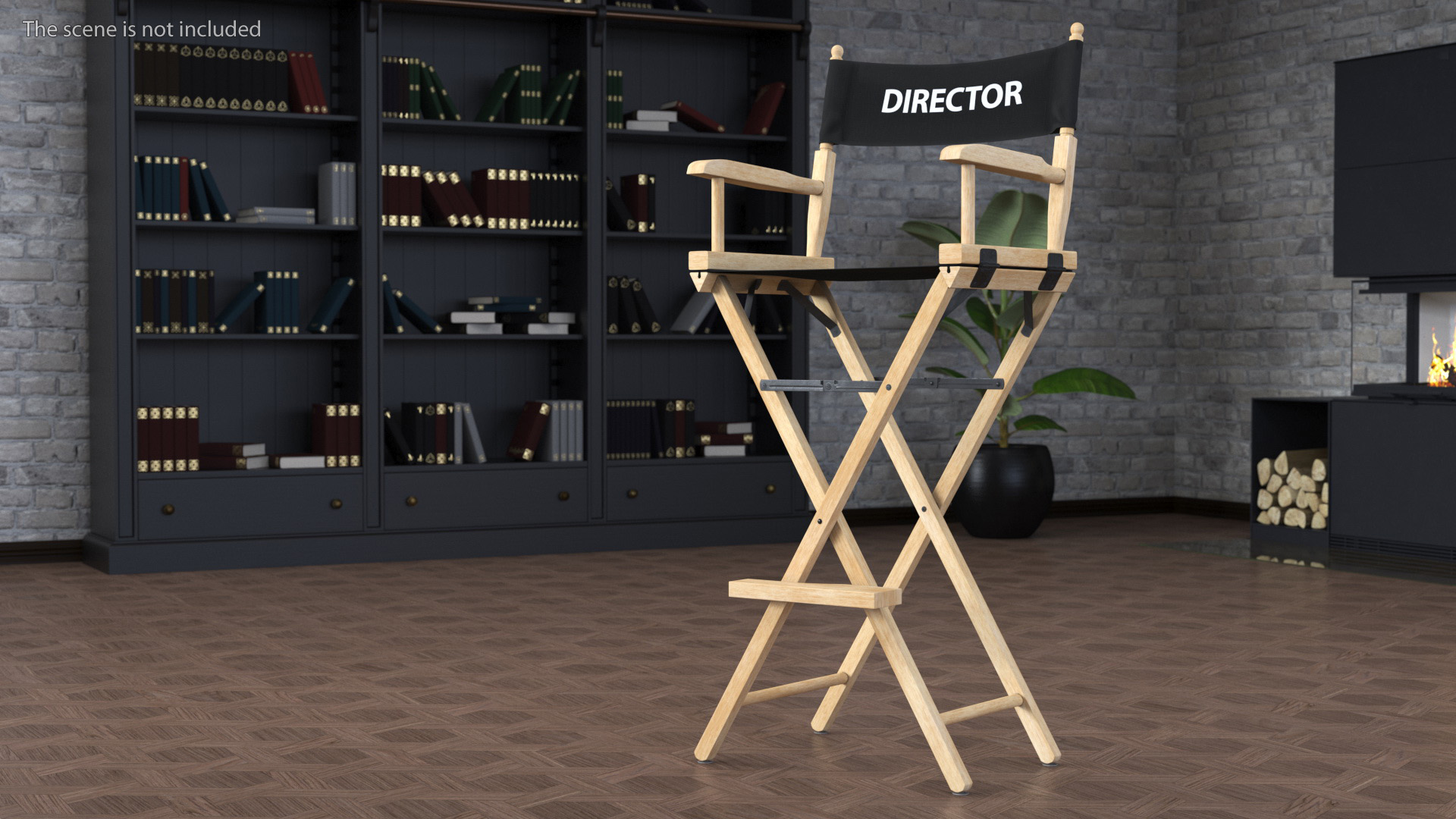 3D Movie Director on Tall Chair model