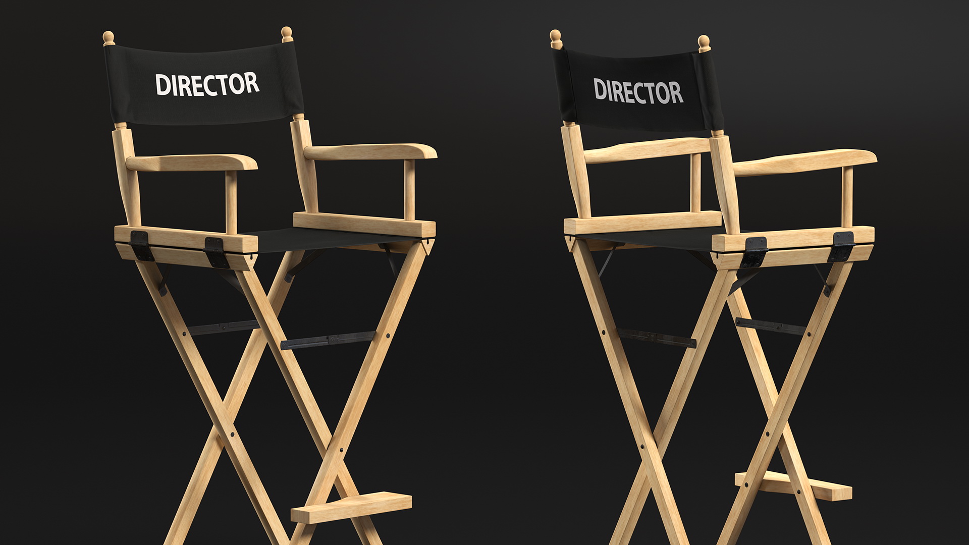 3D Movie Director on Tall Chair model