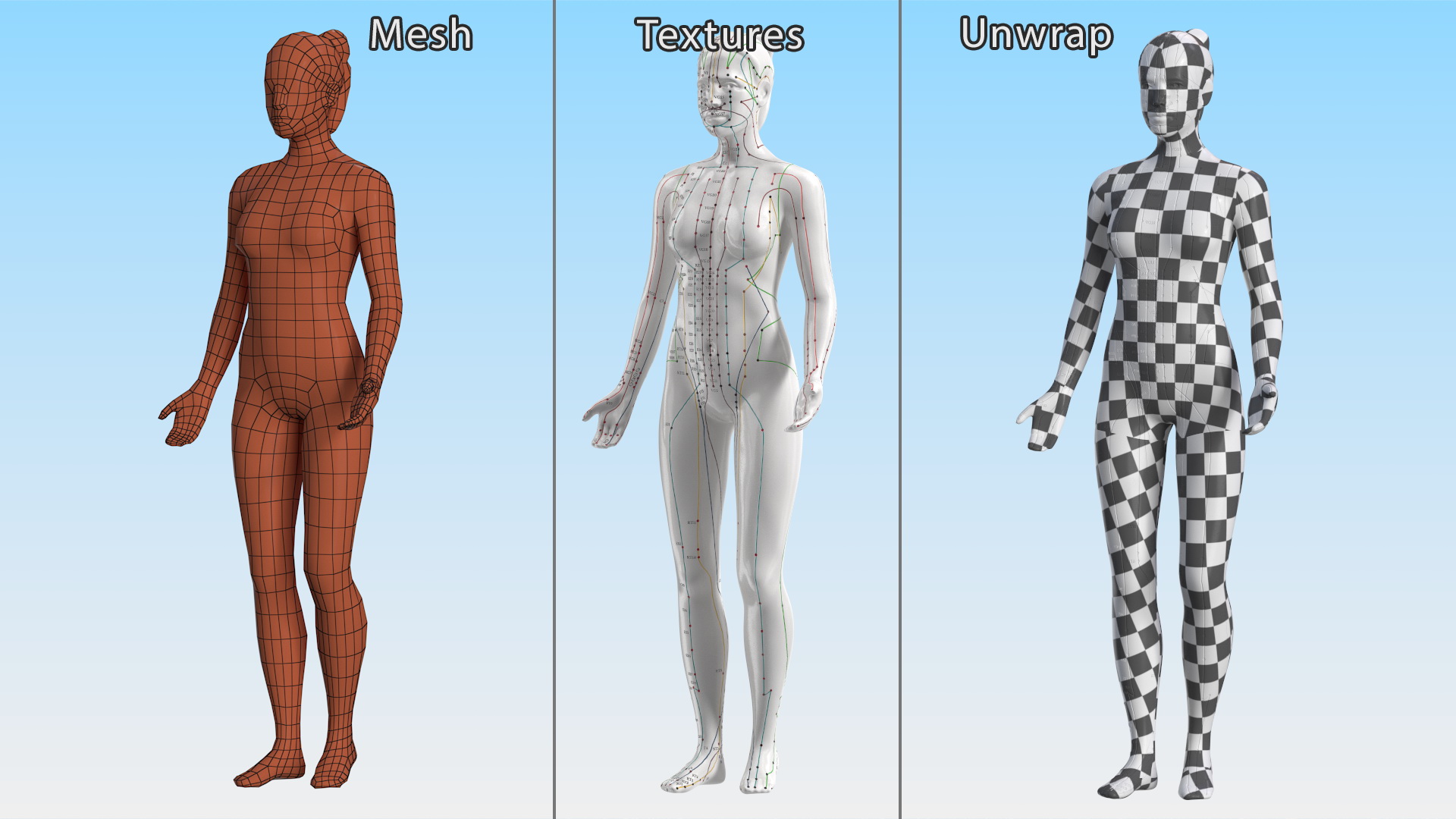 3D Female Acupuncture Mannequin model