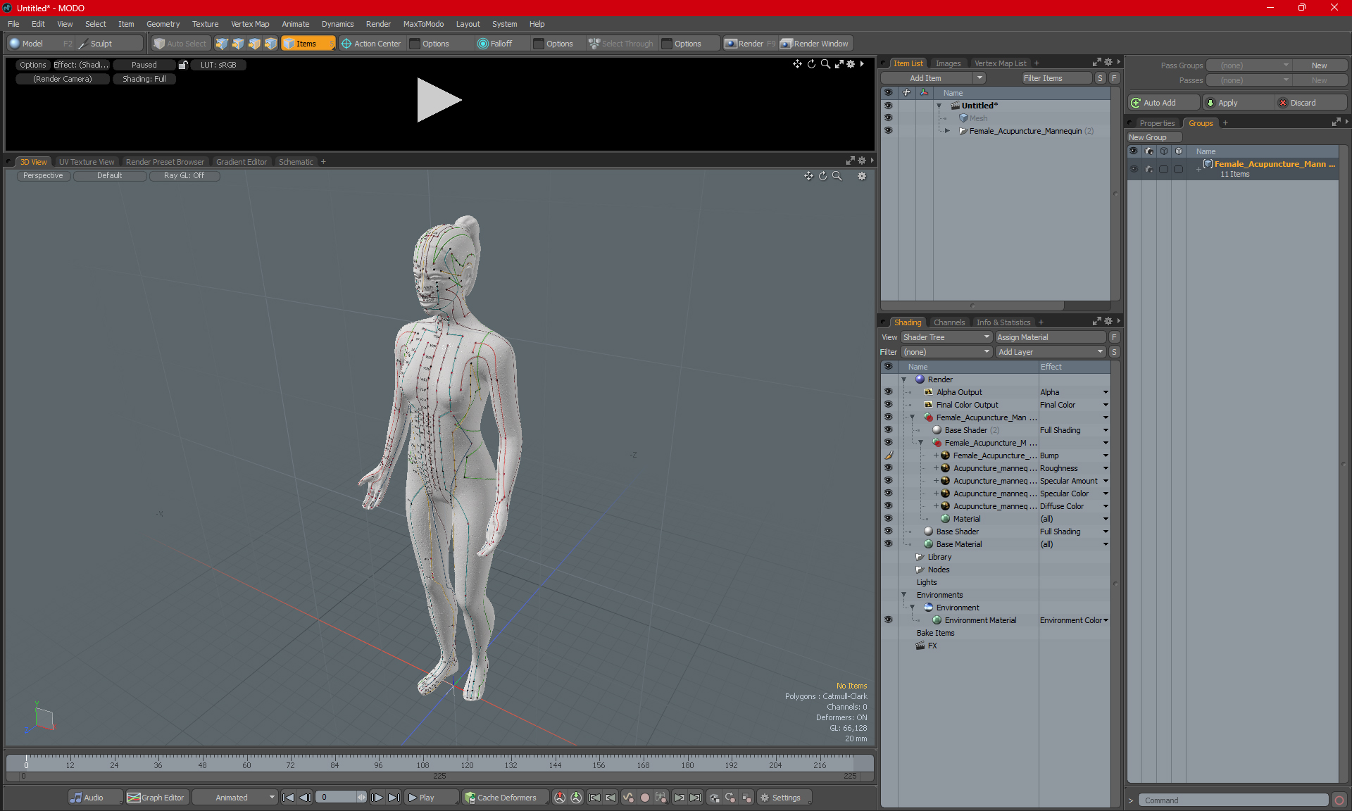 3D Female Acupuncture Mannequin model
