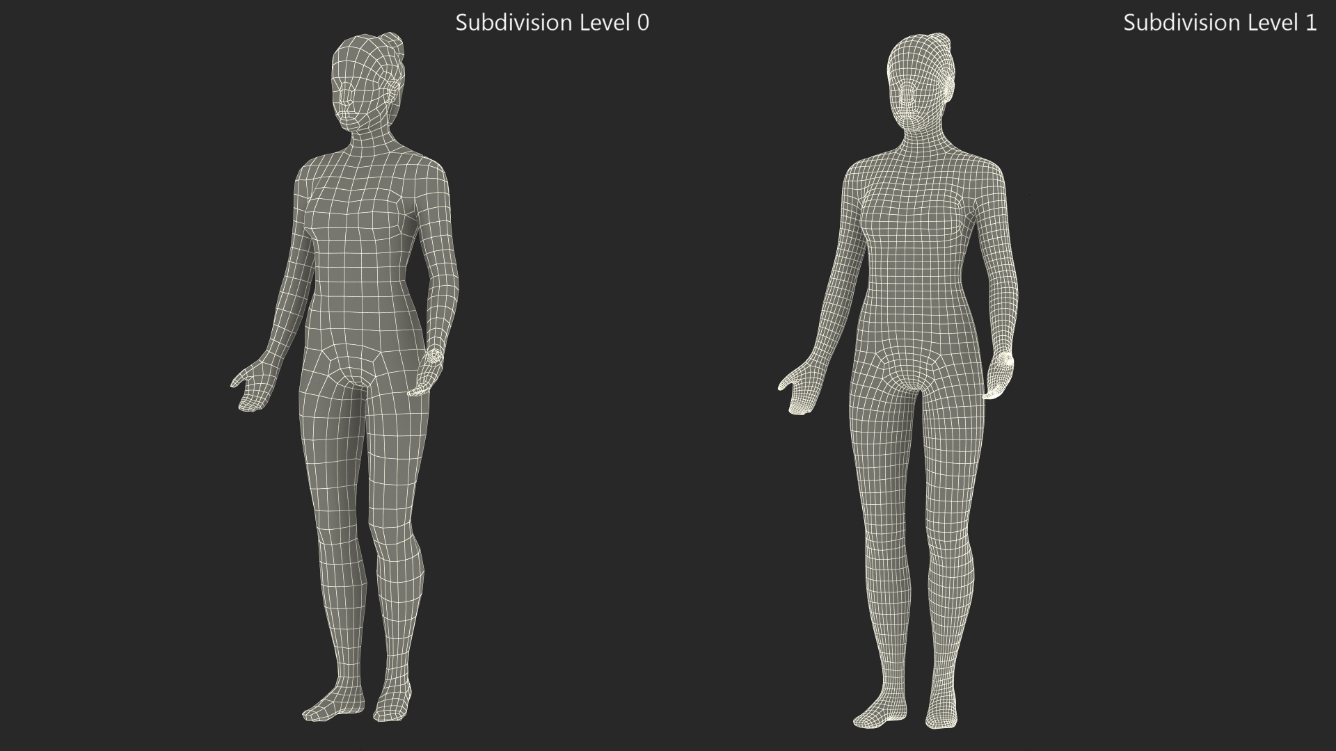 3D Female Acupuncture Mannequin model