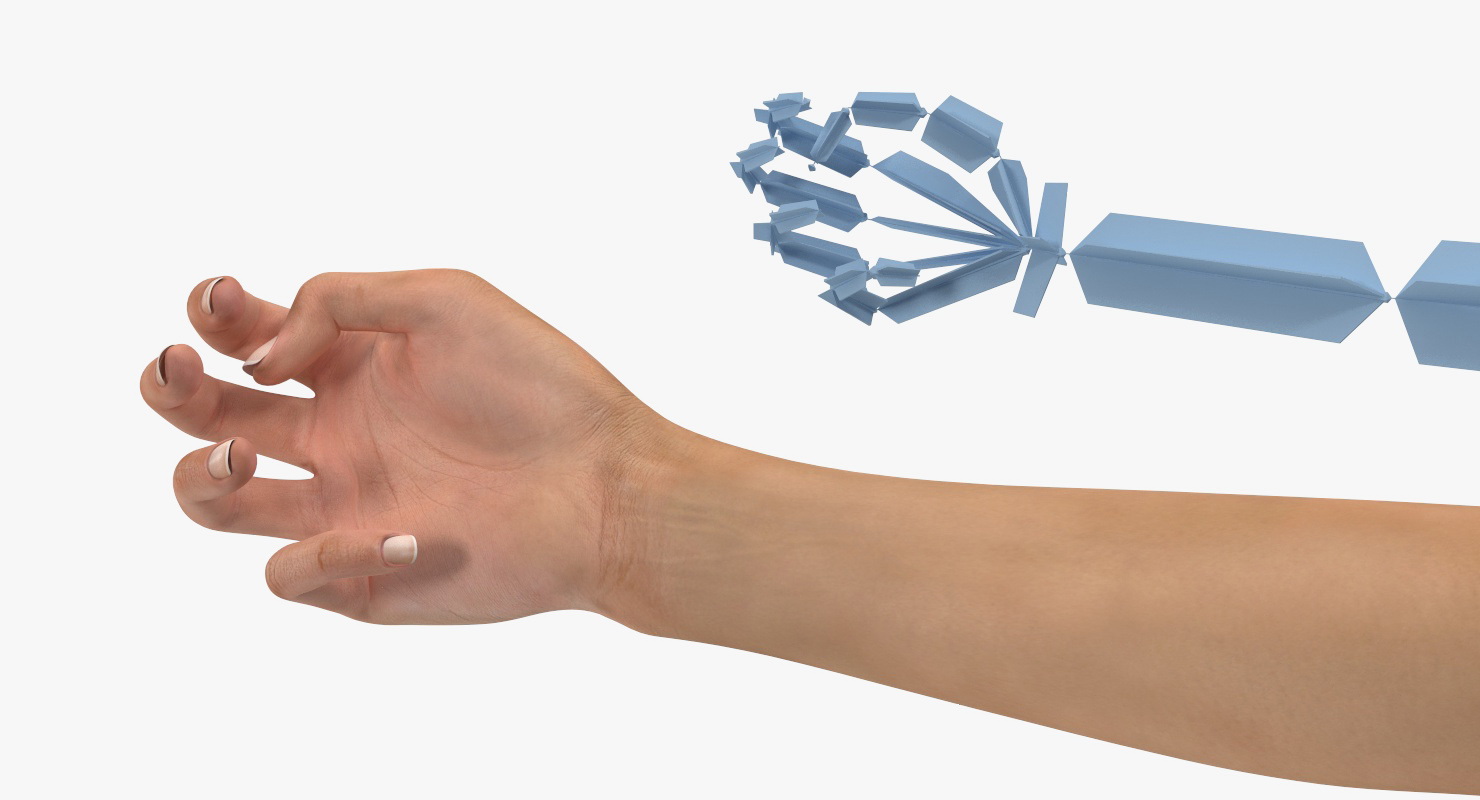 3D model Female Hand with Short Nails Rigged