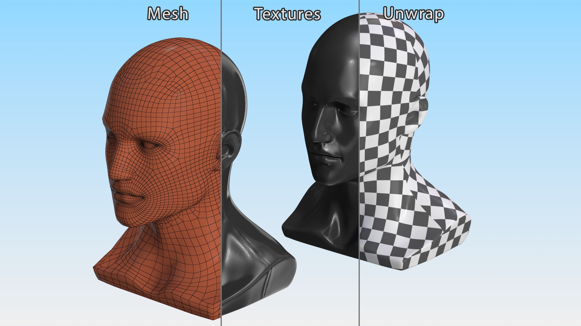 3D model Black Male Mannequin Head