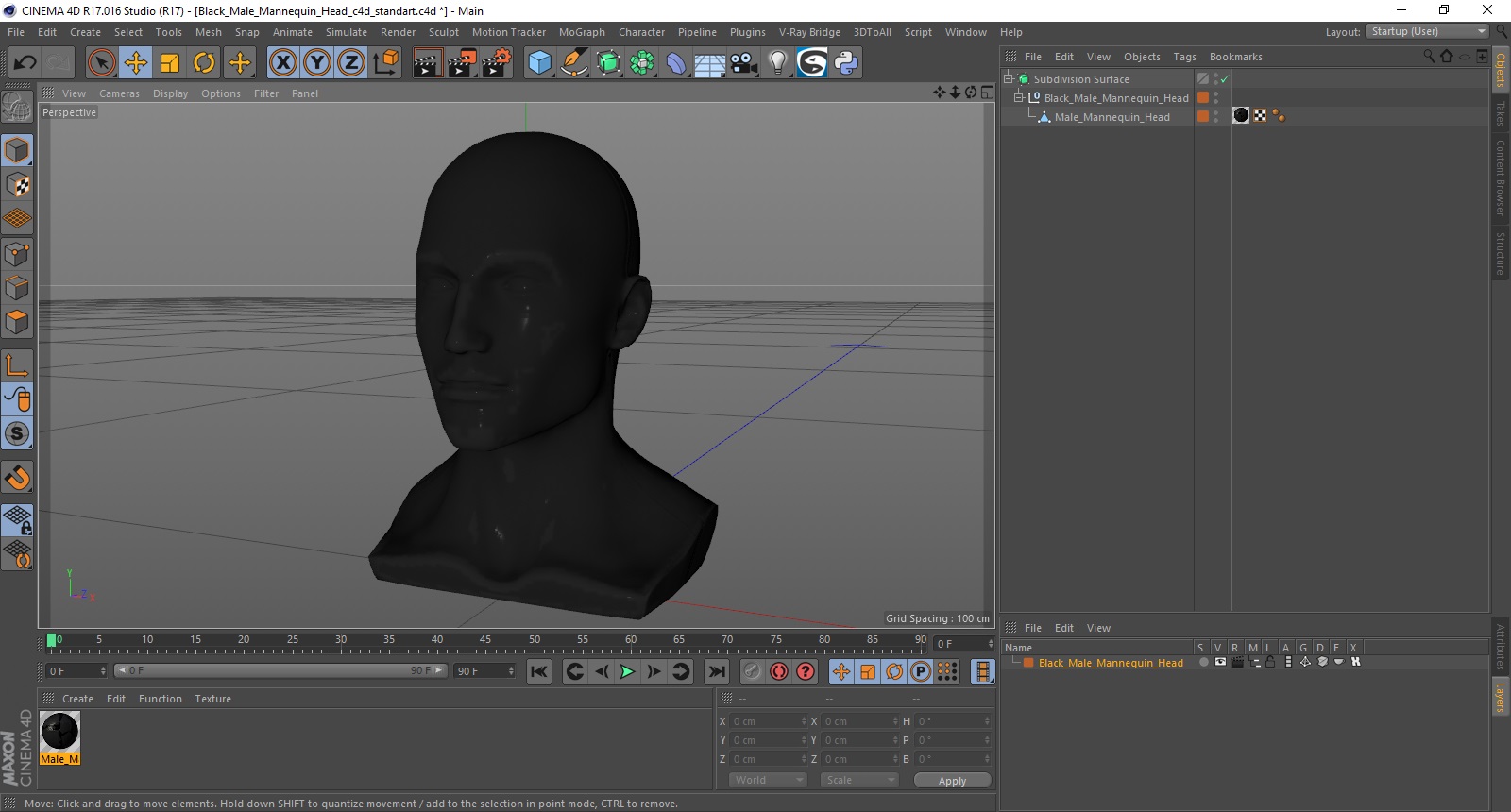 3D model Black Male Mannequin Head