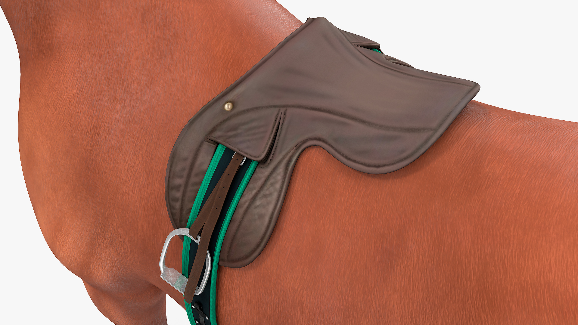 3D Bay Racehorse model