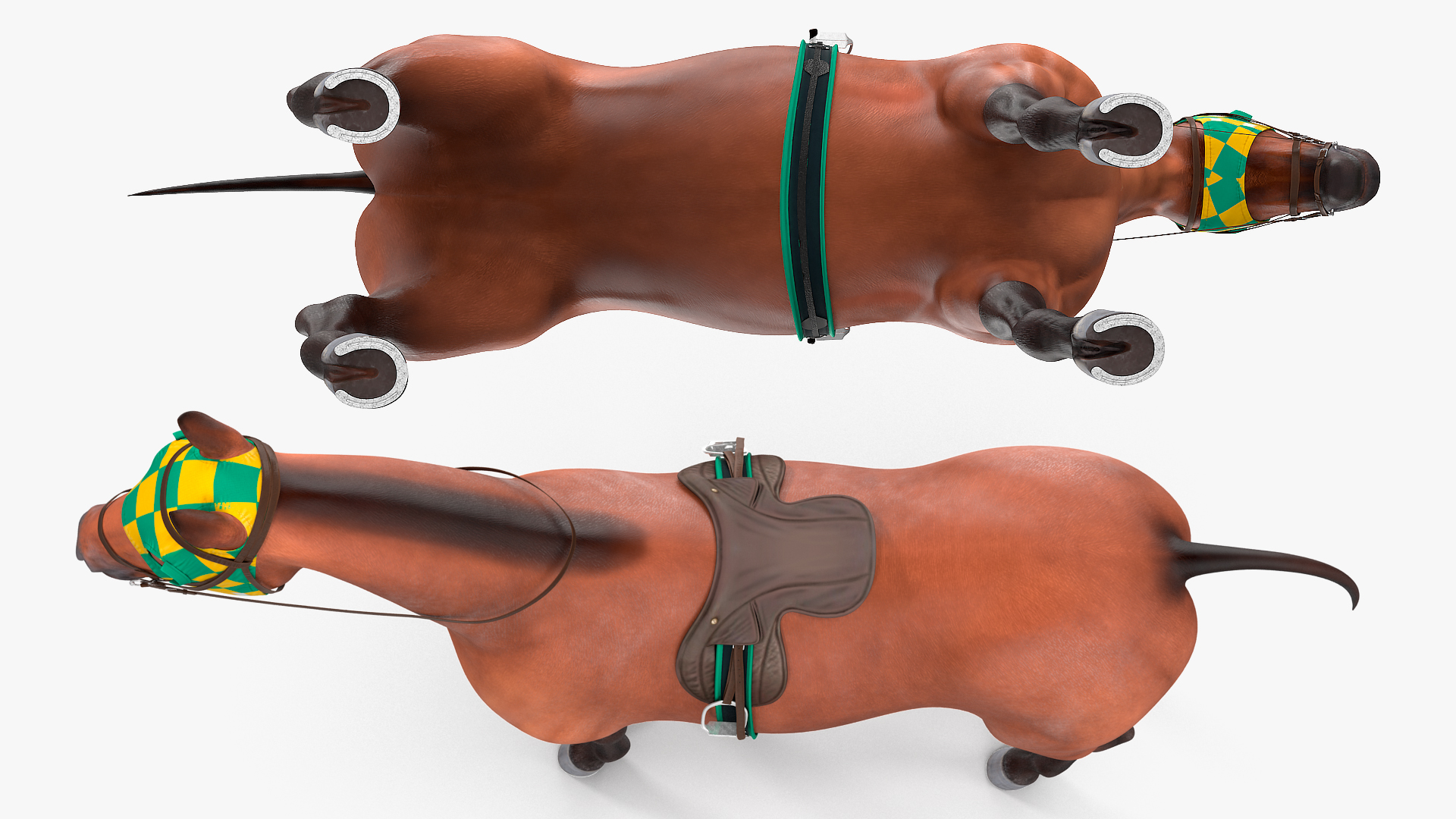 3D Bay Racehorse model