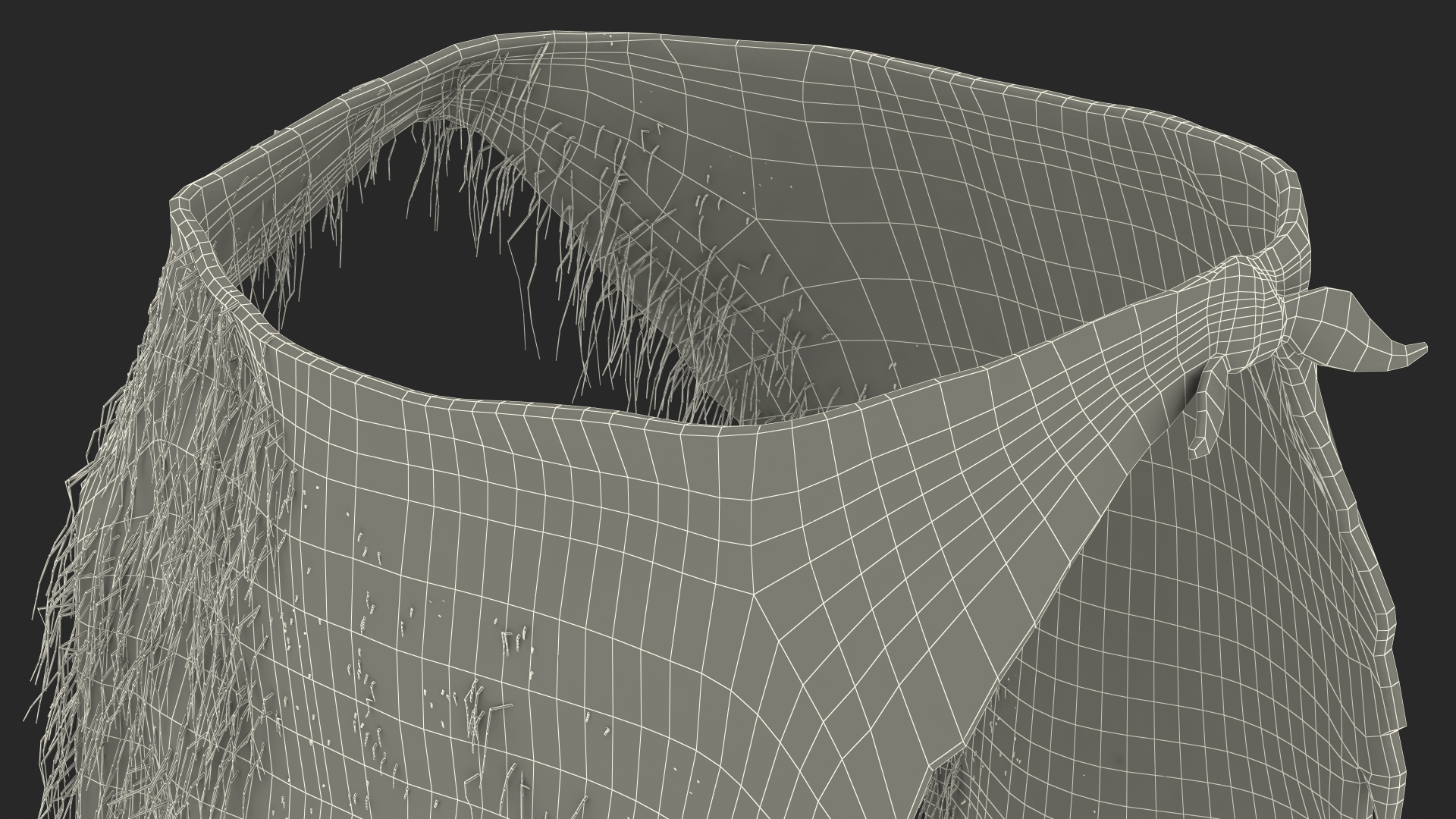 Rag Loincloth Fur 3D