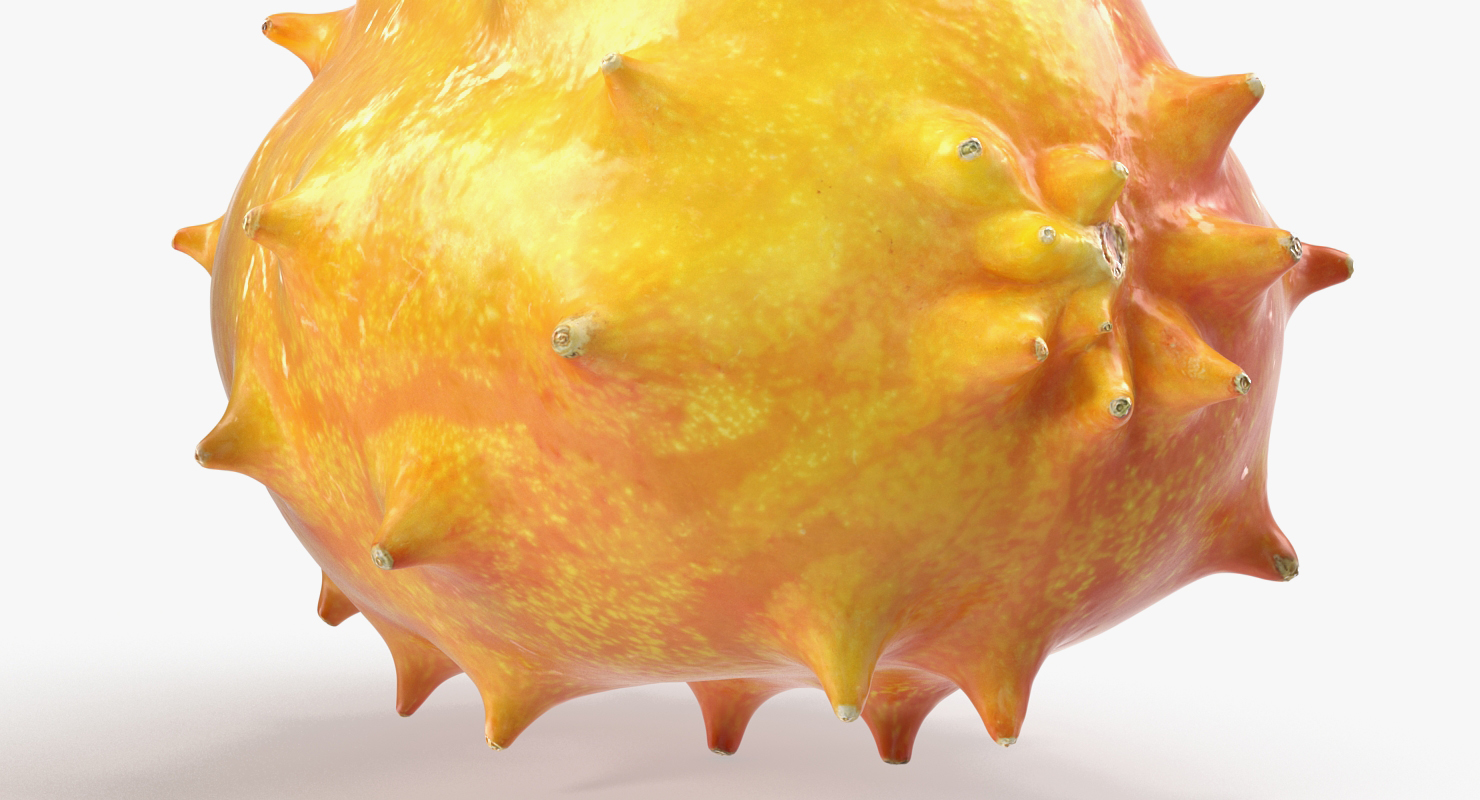 Kiwano Fruit 3D