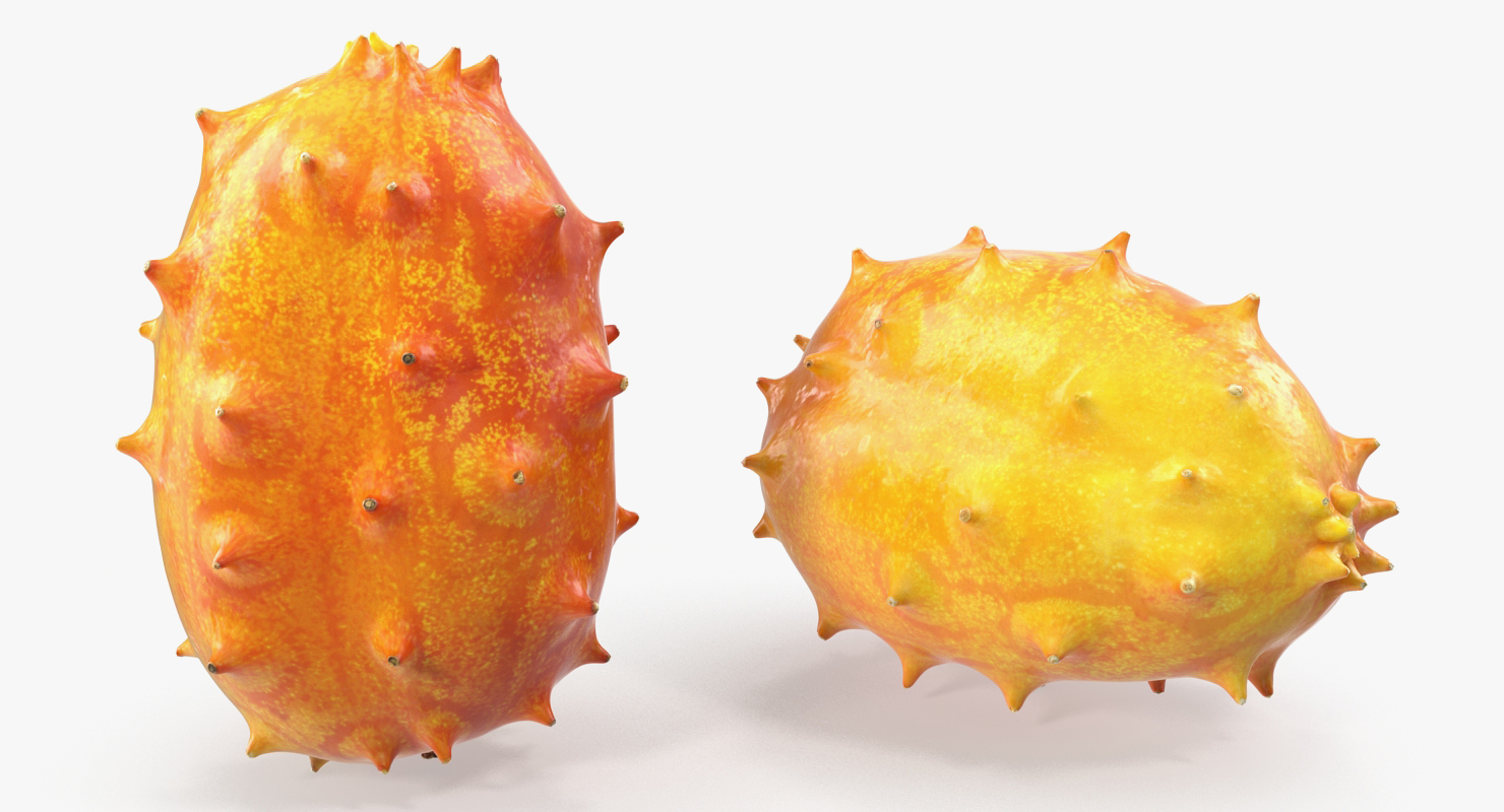 Kiwano Fruit 3D