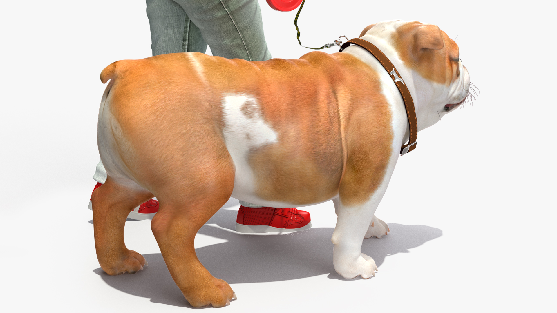 3D model Girl Walks with a Bulldog