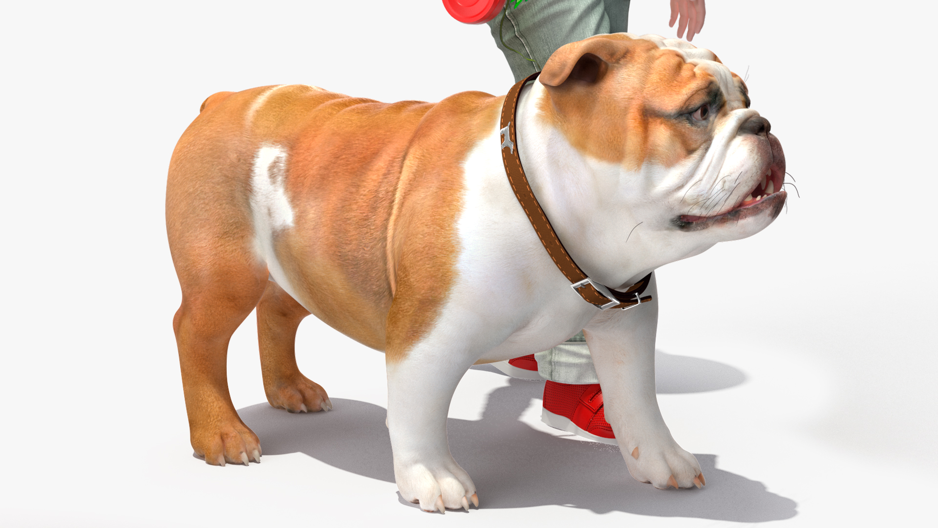 3D model Girl Walks with a Bulldog