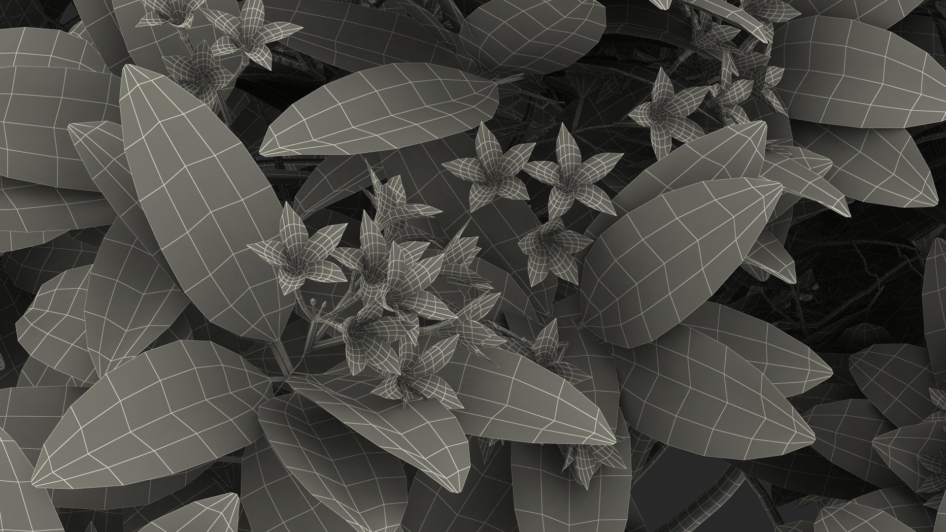 3D Plumeria Frangipani Tree Red Flowers