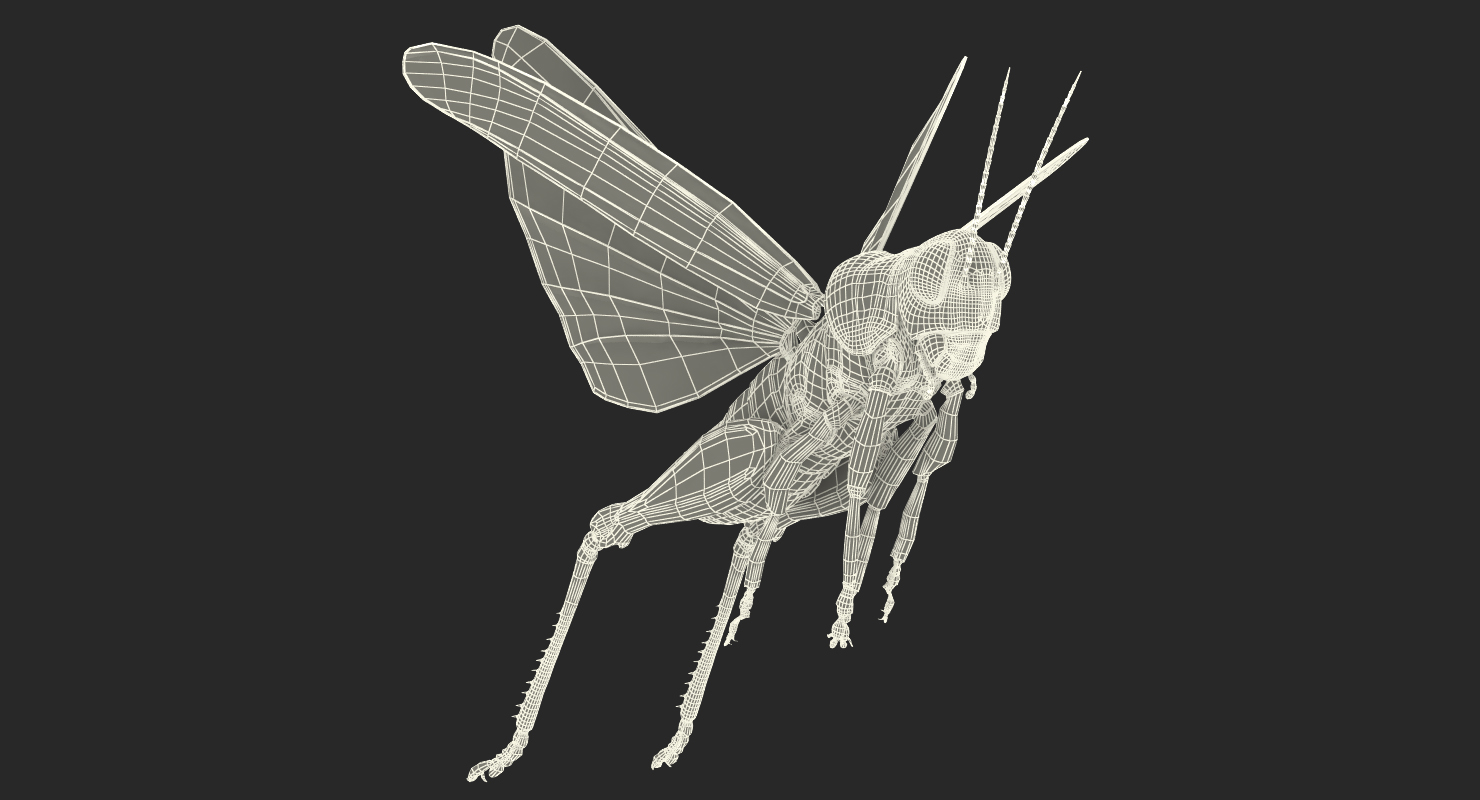 3D Grasshopper Rigged model