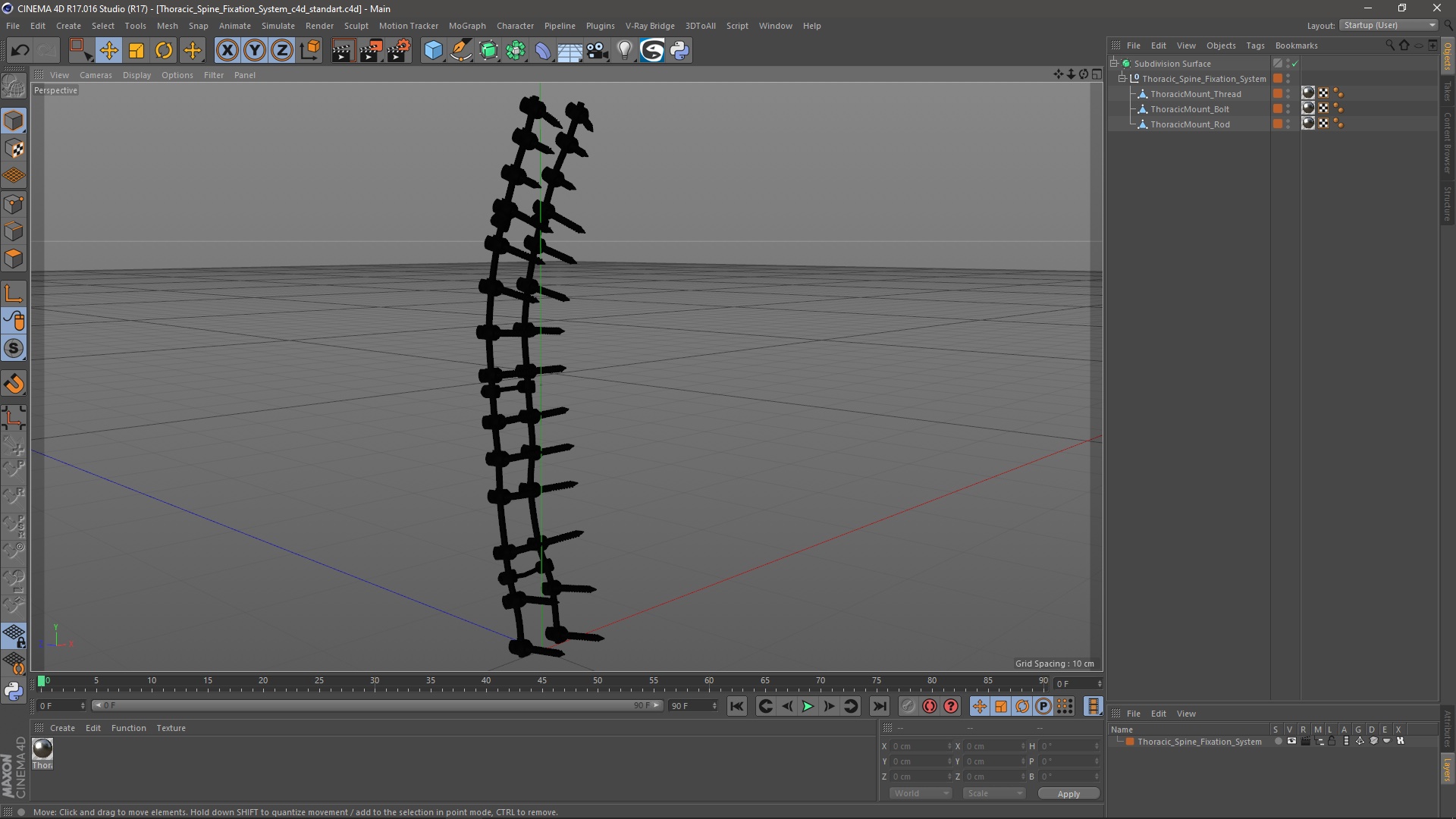 3D model Thoracic Spine Fixation System