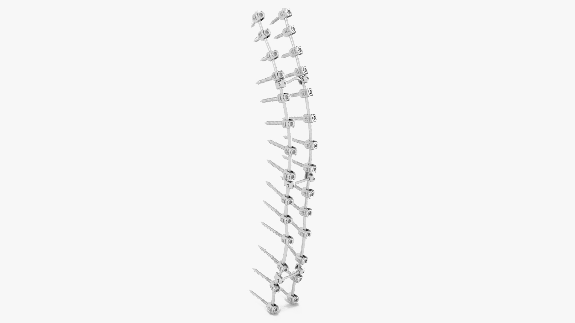 3D model Thoracic Spine Fixation System