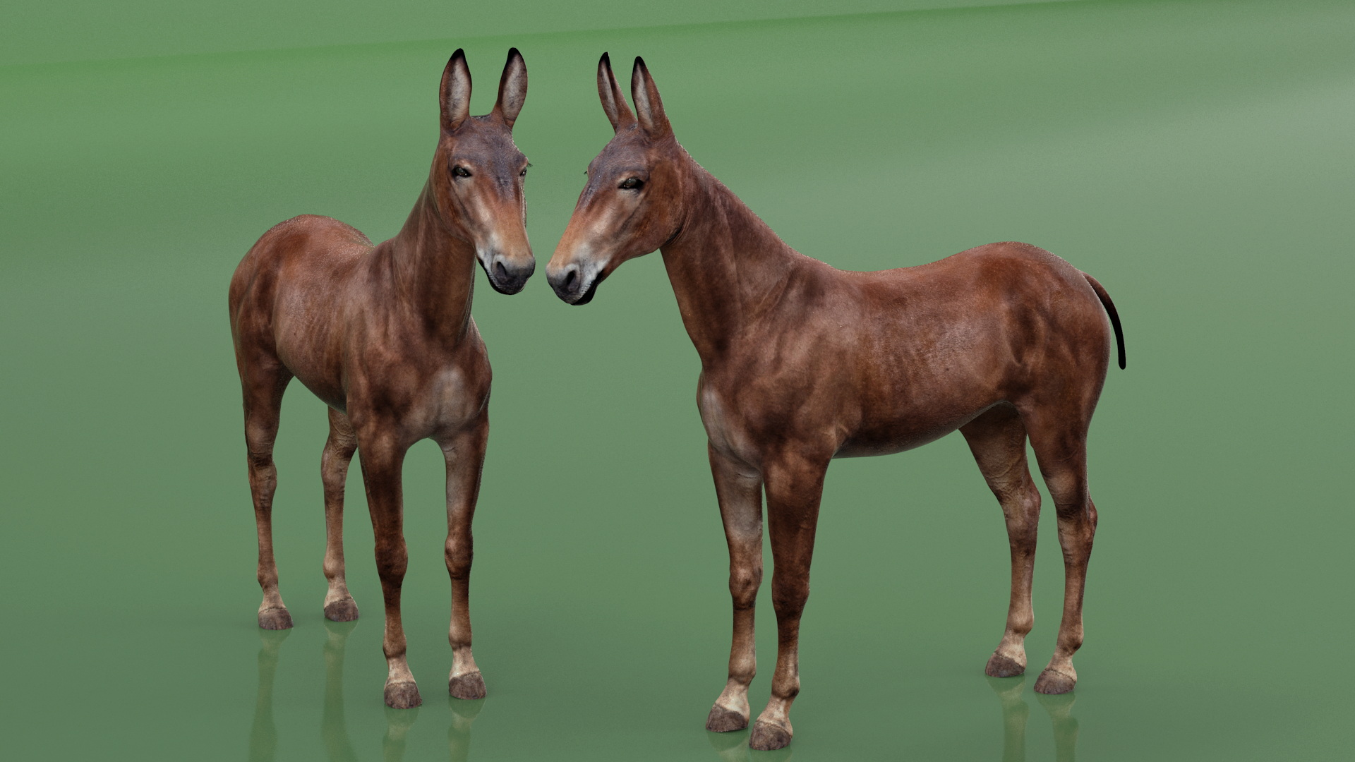 3D Mule Dark Rigged