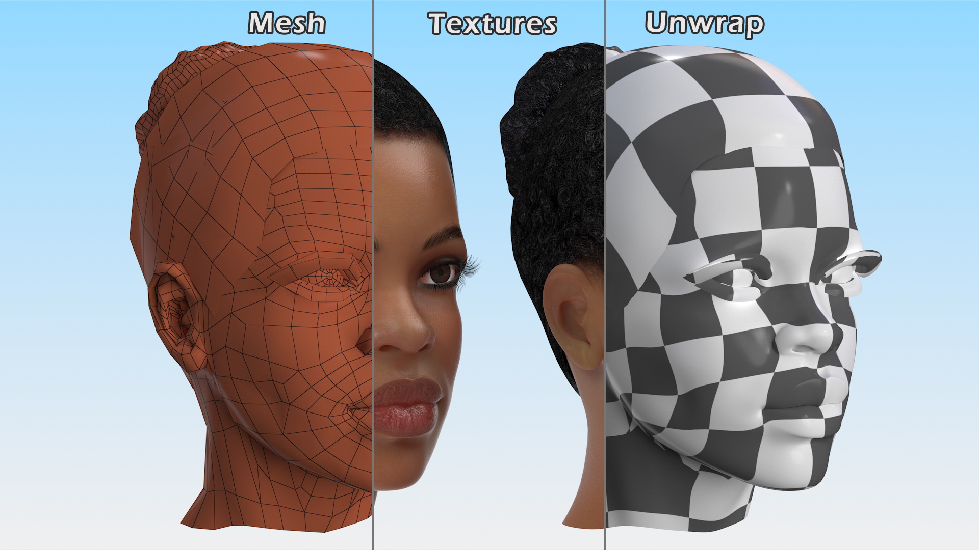 3D model Afro American Woman Head Light Skin