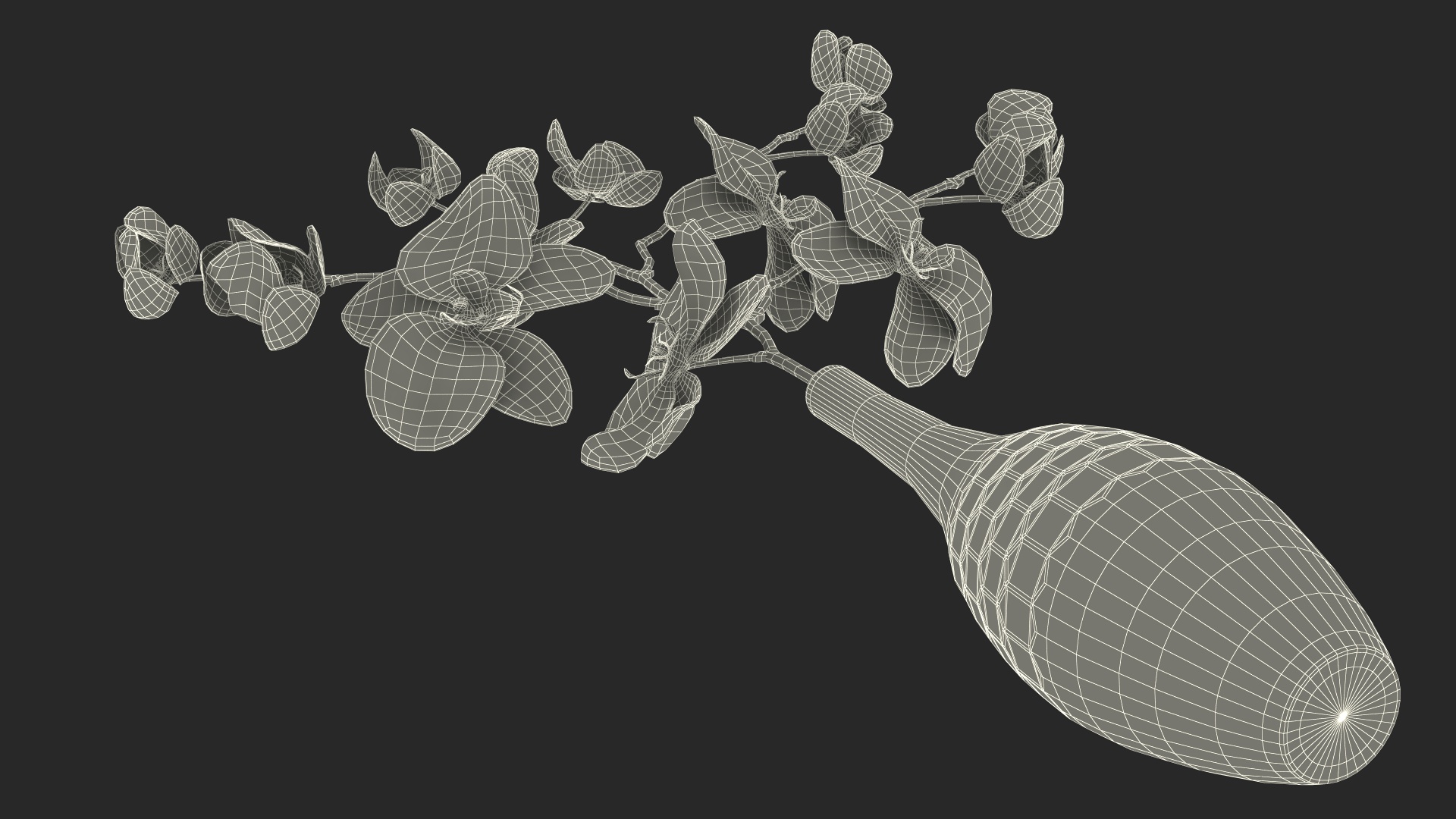 3D model Glass Vase with Pink Phalaenopsis Orchid