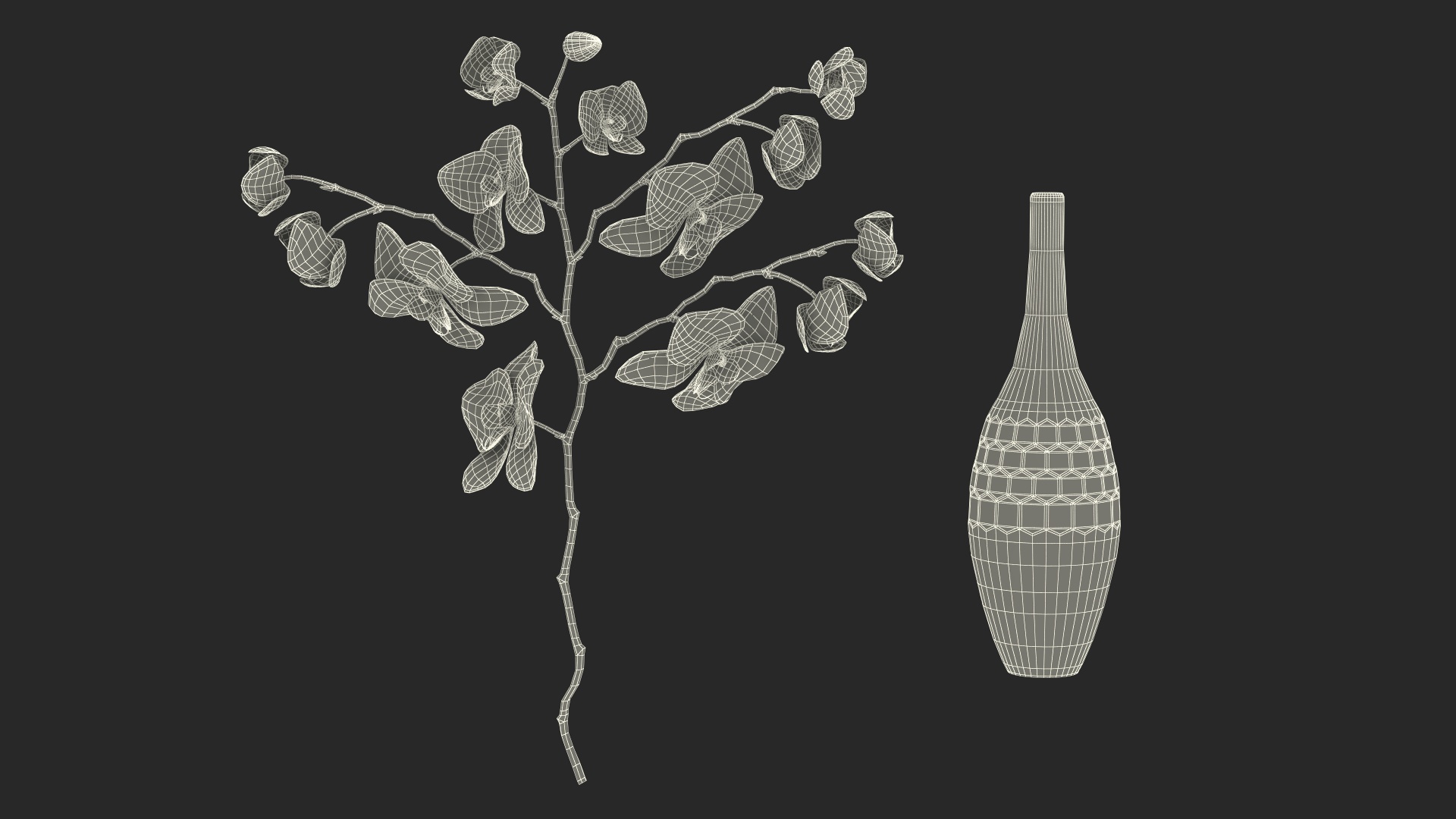 3D model Glass Vase with Pink Phalaenopsis Orchid