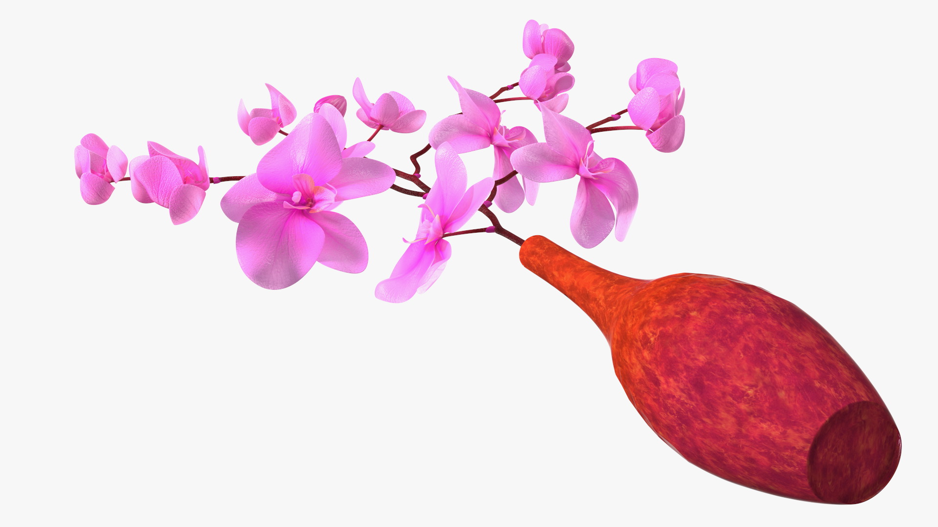 3D model Glass Vase with Pink Phalaenopsis Orchid