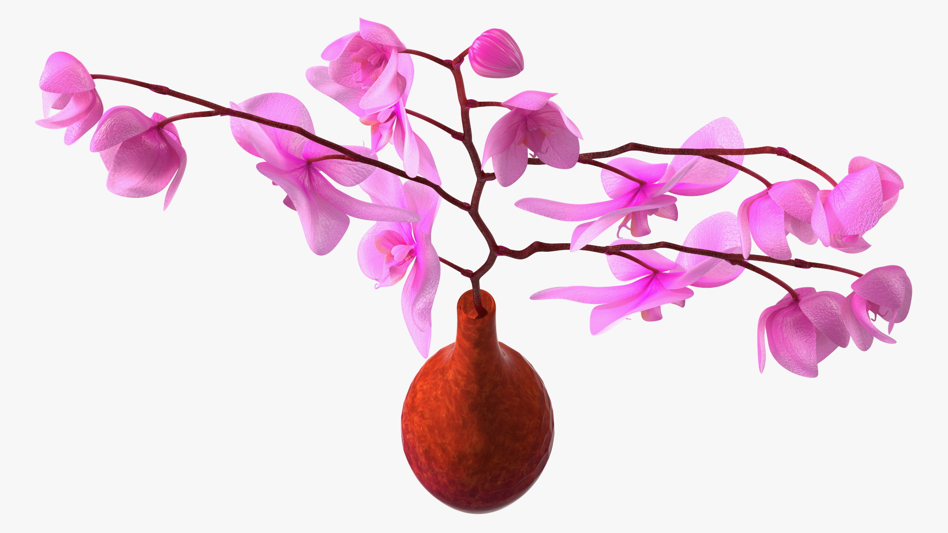 3D model Glass Vase with Pink Phalaenopsis Orchid