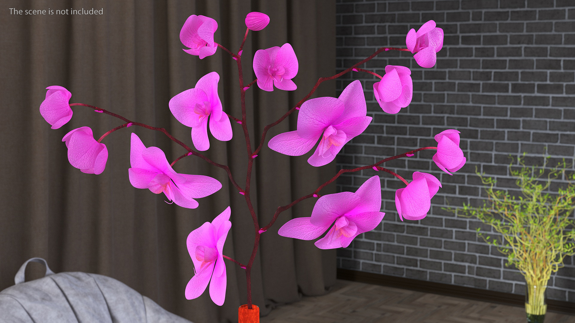 3D model Glass Vase with Pink Phalaenopsis Orchid