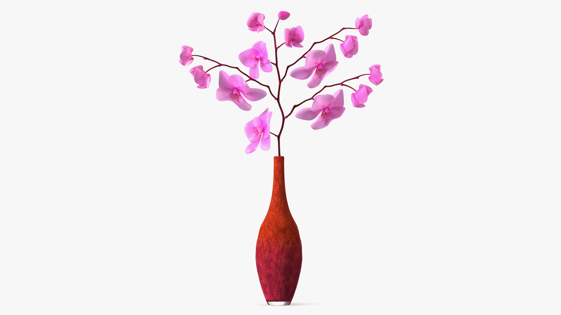 3D model Glass Vase with Pink Phalaenopsis Orchid