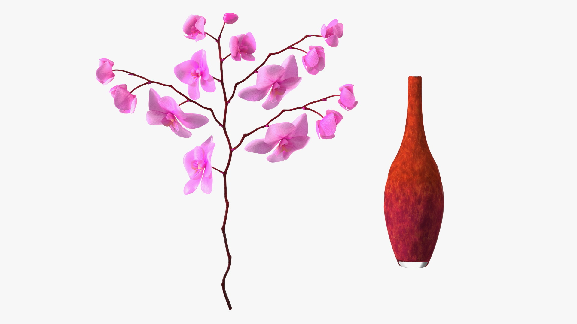 3D model Glass Vase with Pink Phalaenopsis Orchid