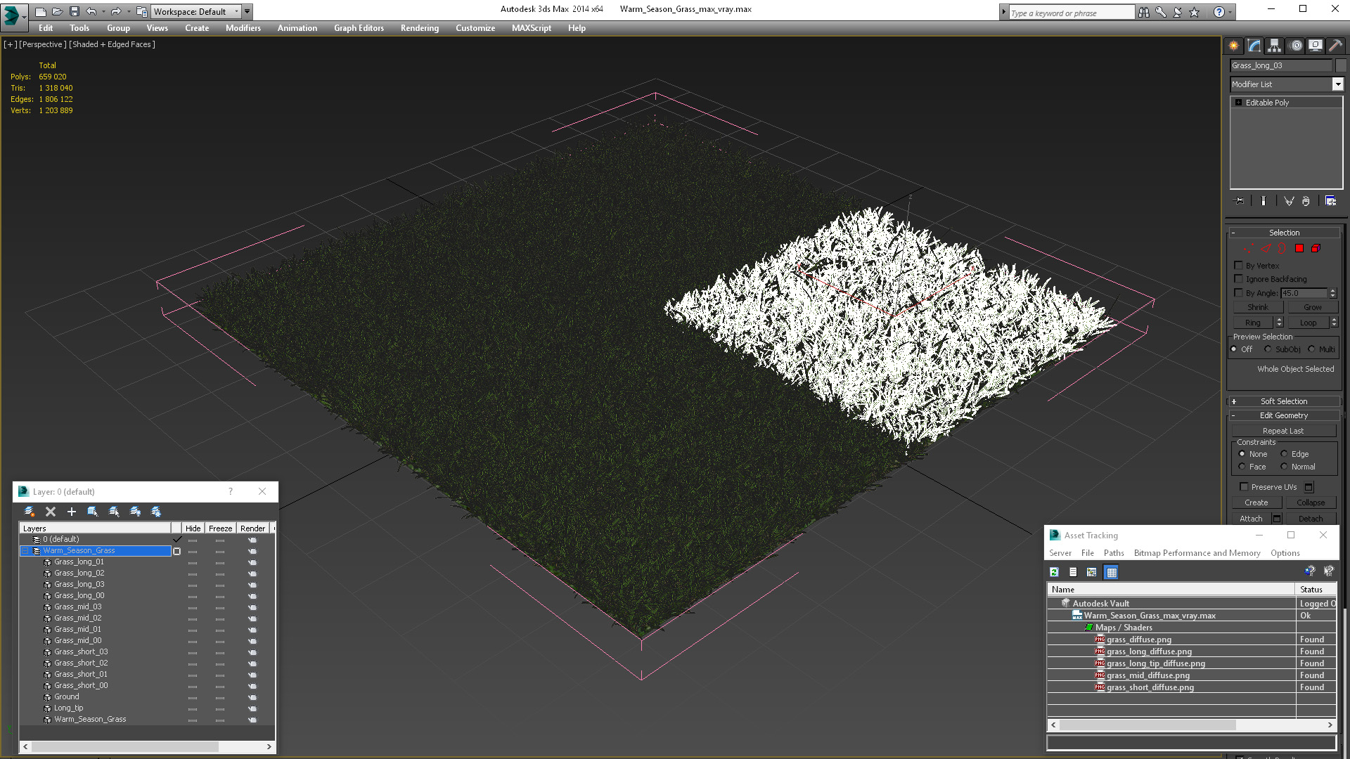 Warm Season Grass 3D