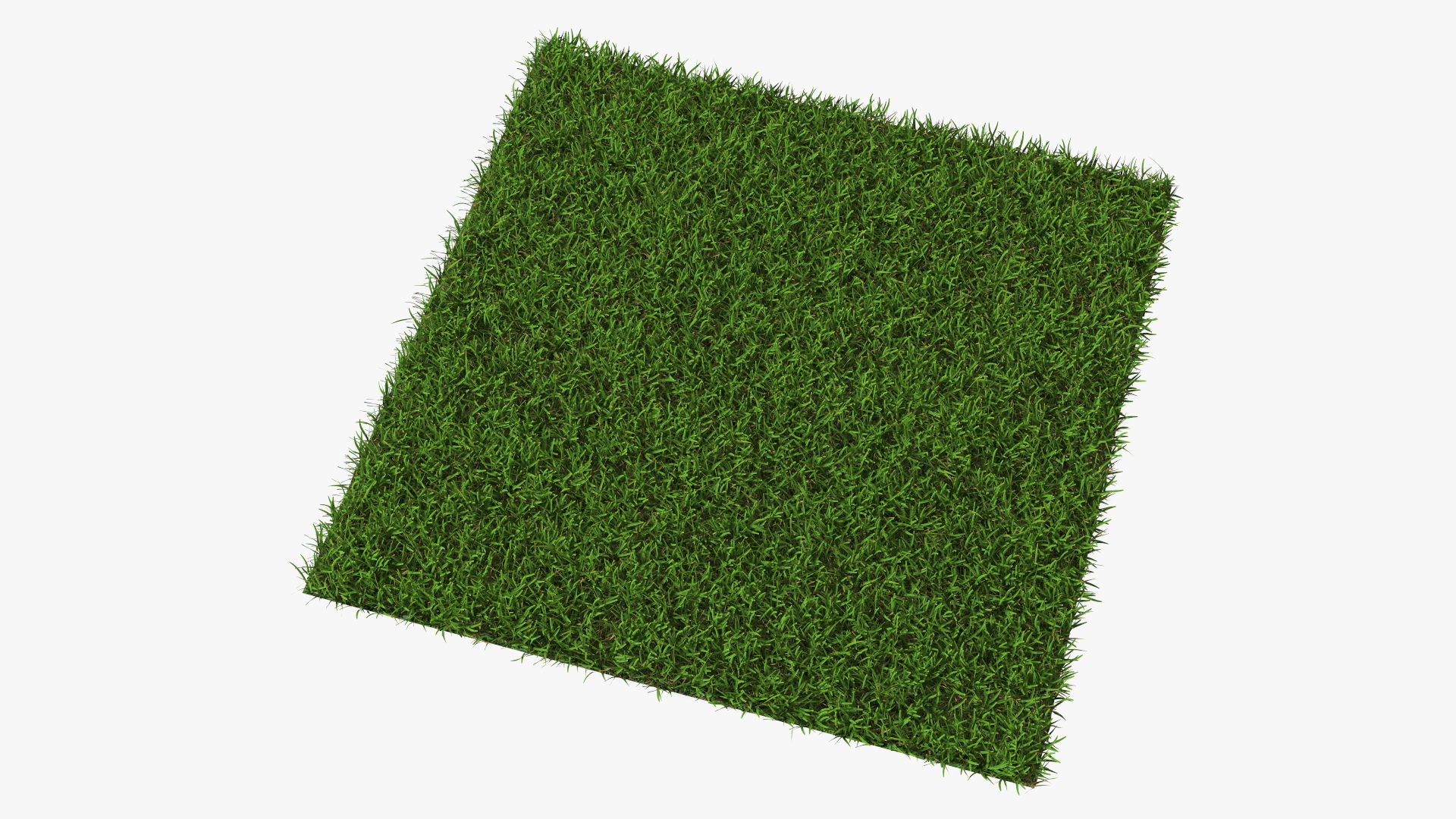 Warm Season Grass 3D