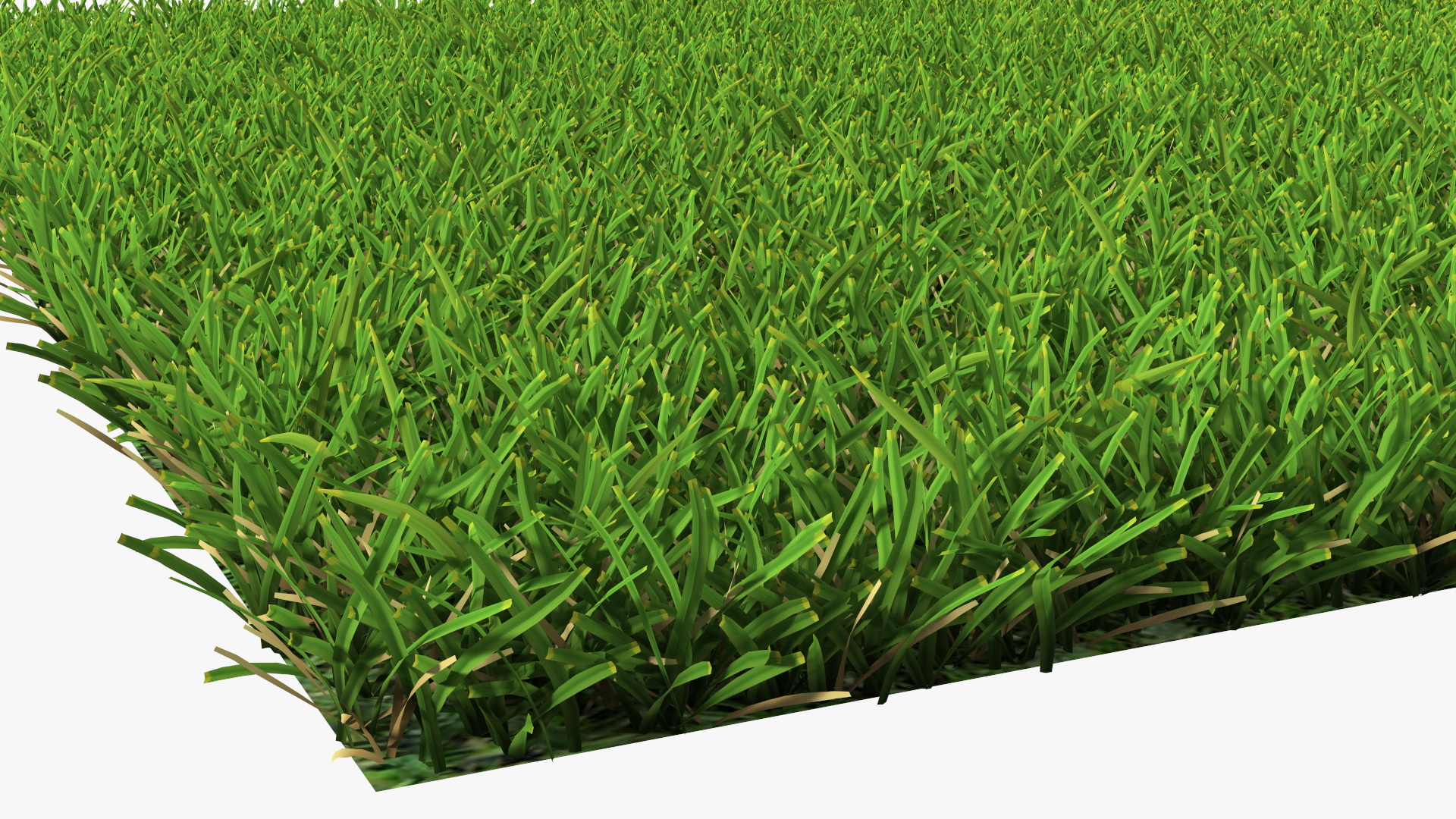 Warm Season Grass 3D