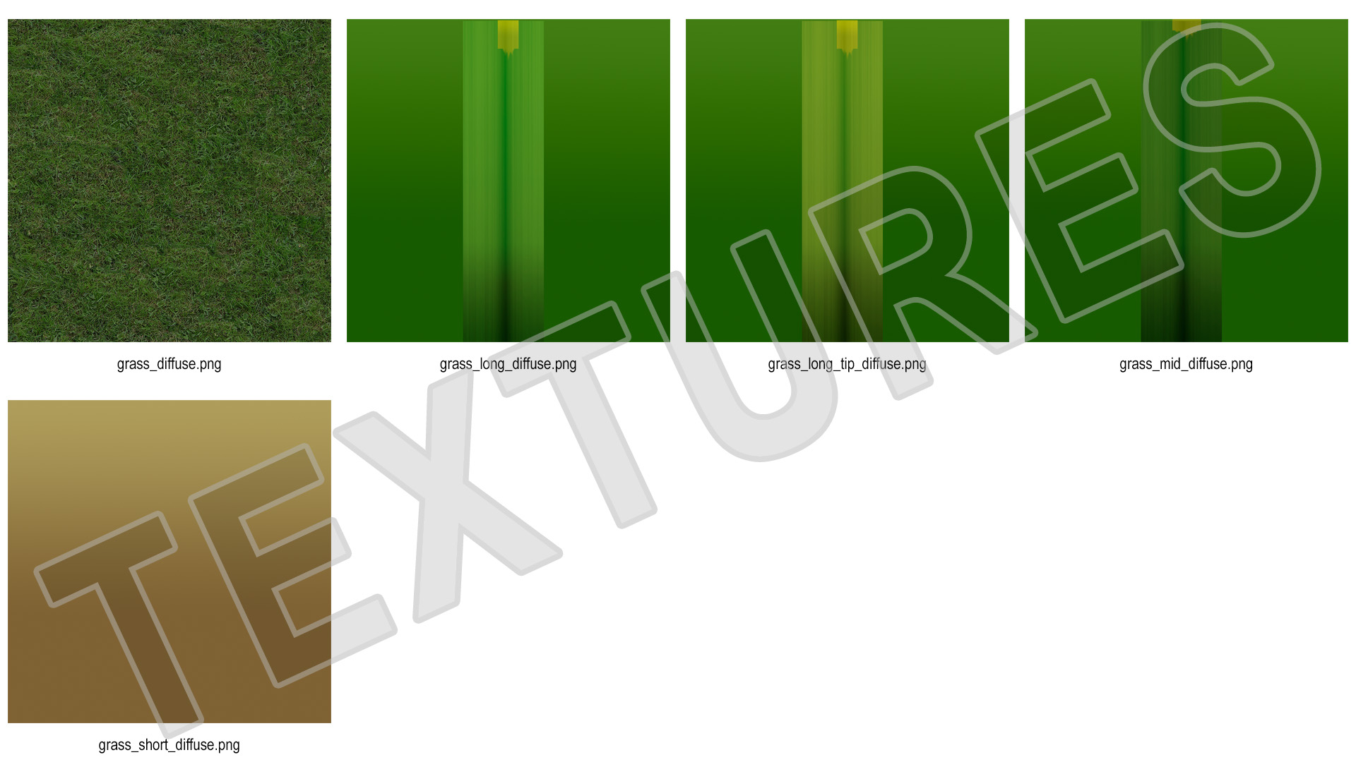 Warm Season Grass 3D