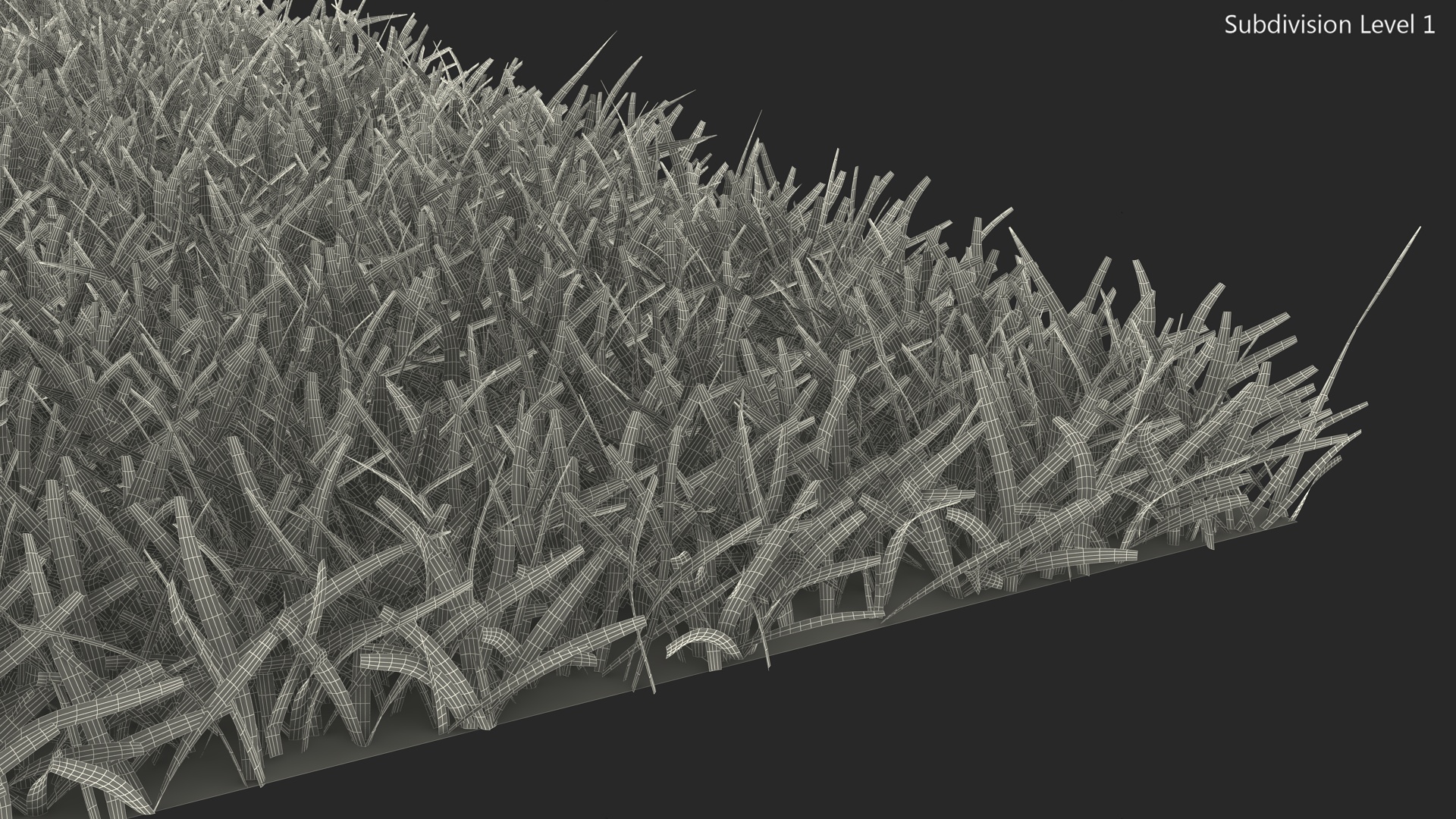 Warm Season Grass 3D