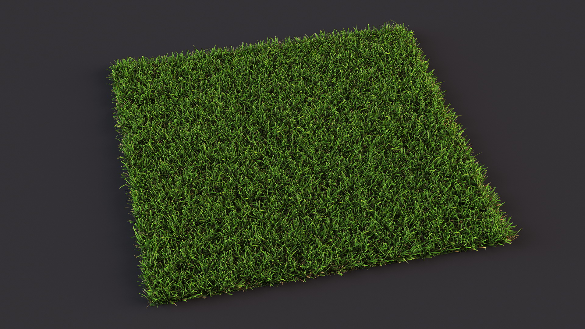Warm Season Grass 3D