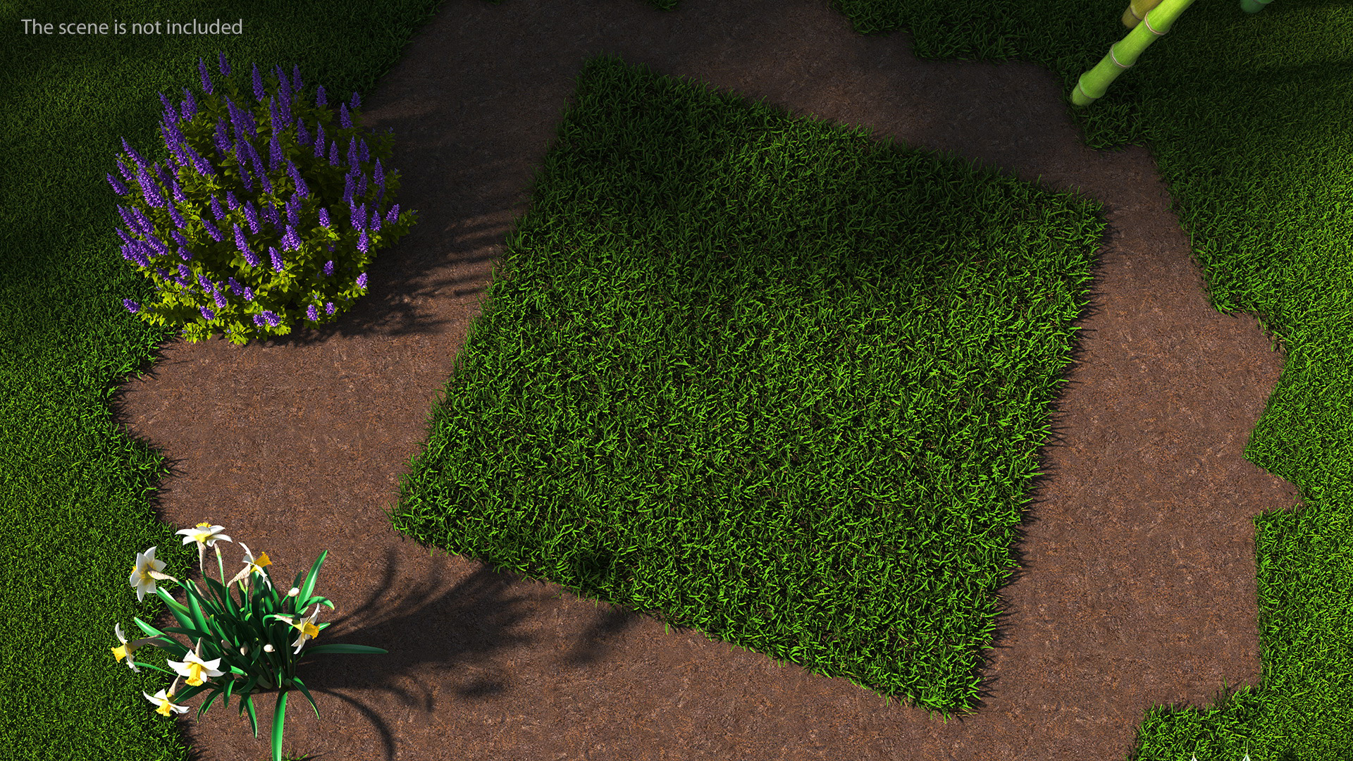 Warm Season Grass 3D