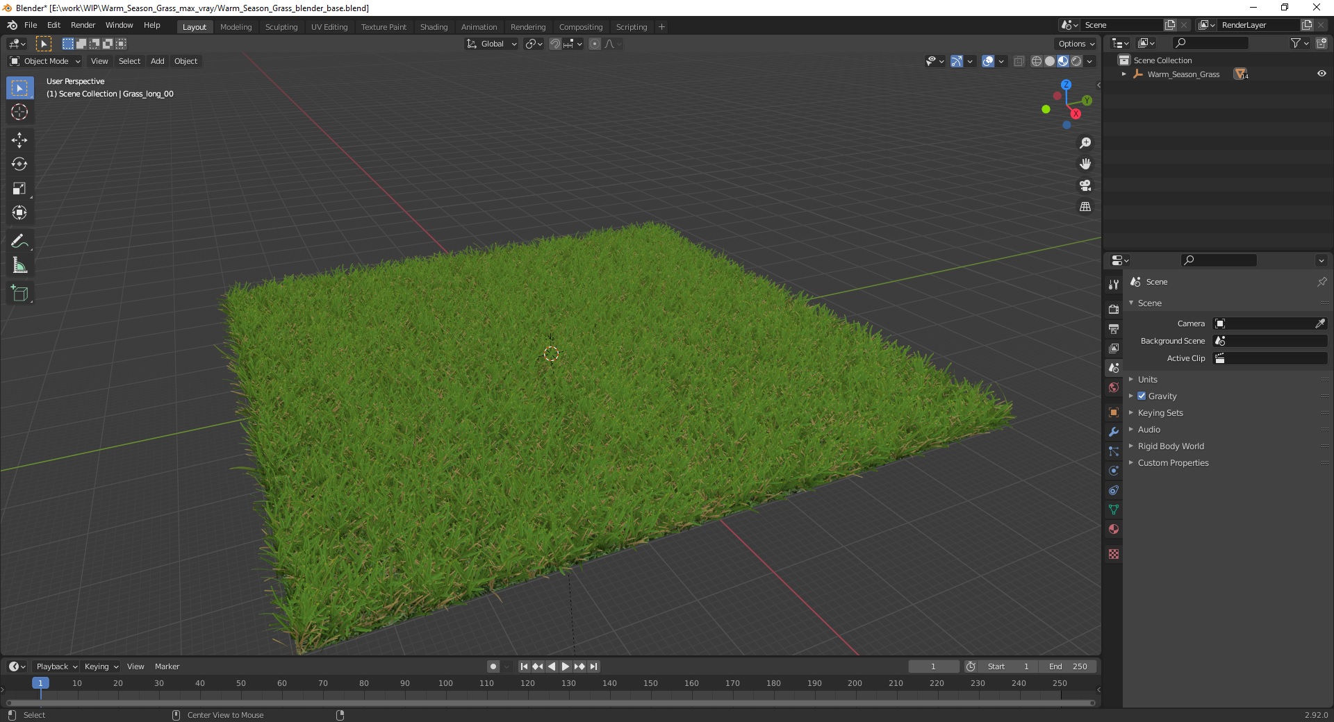 Warm Season Grass 3D
