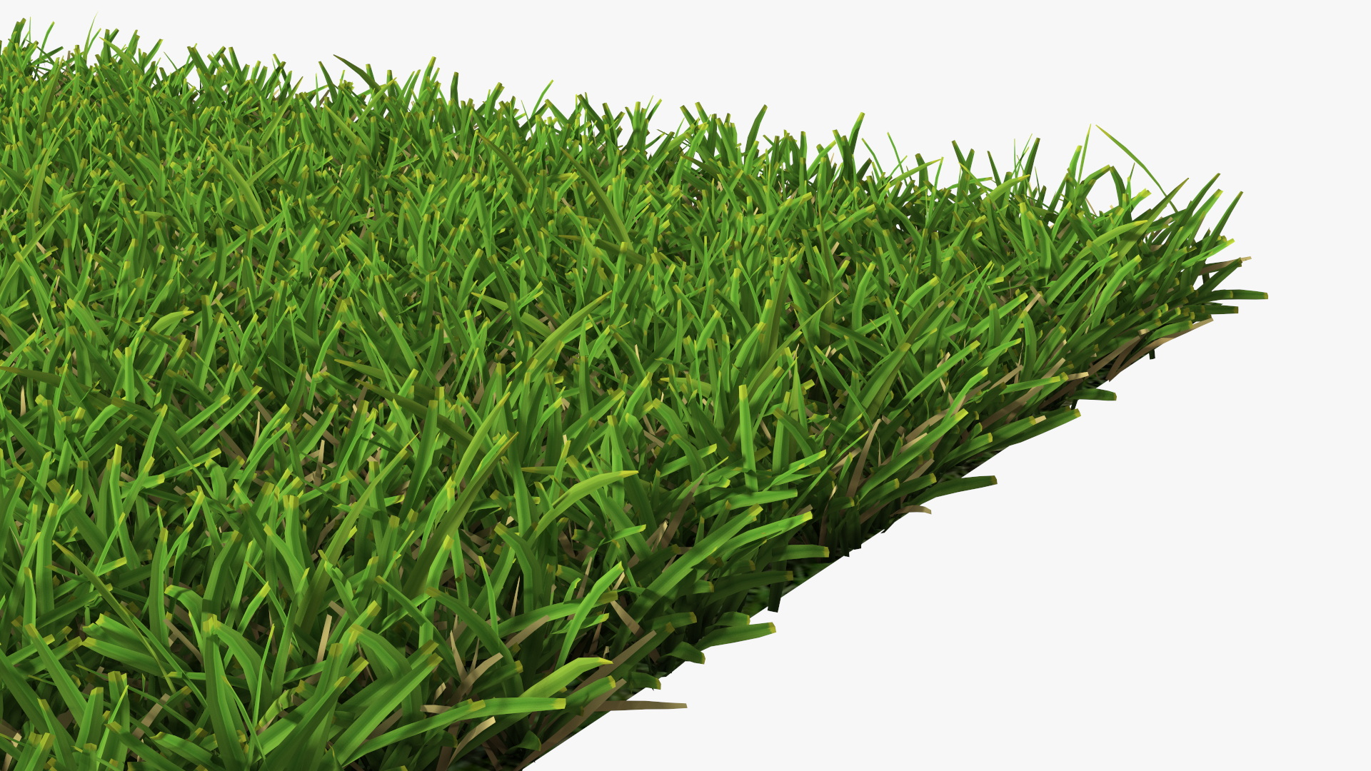Warm Season Grass 3D