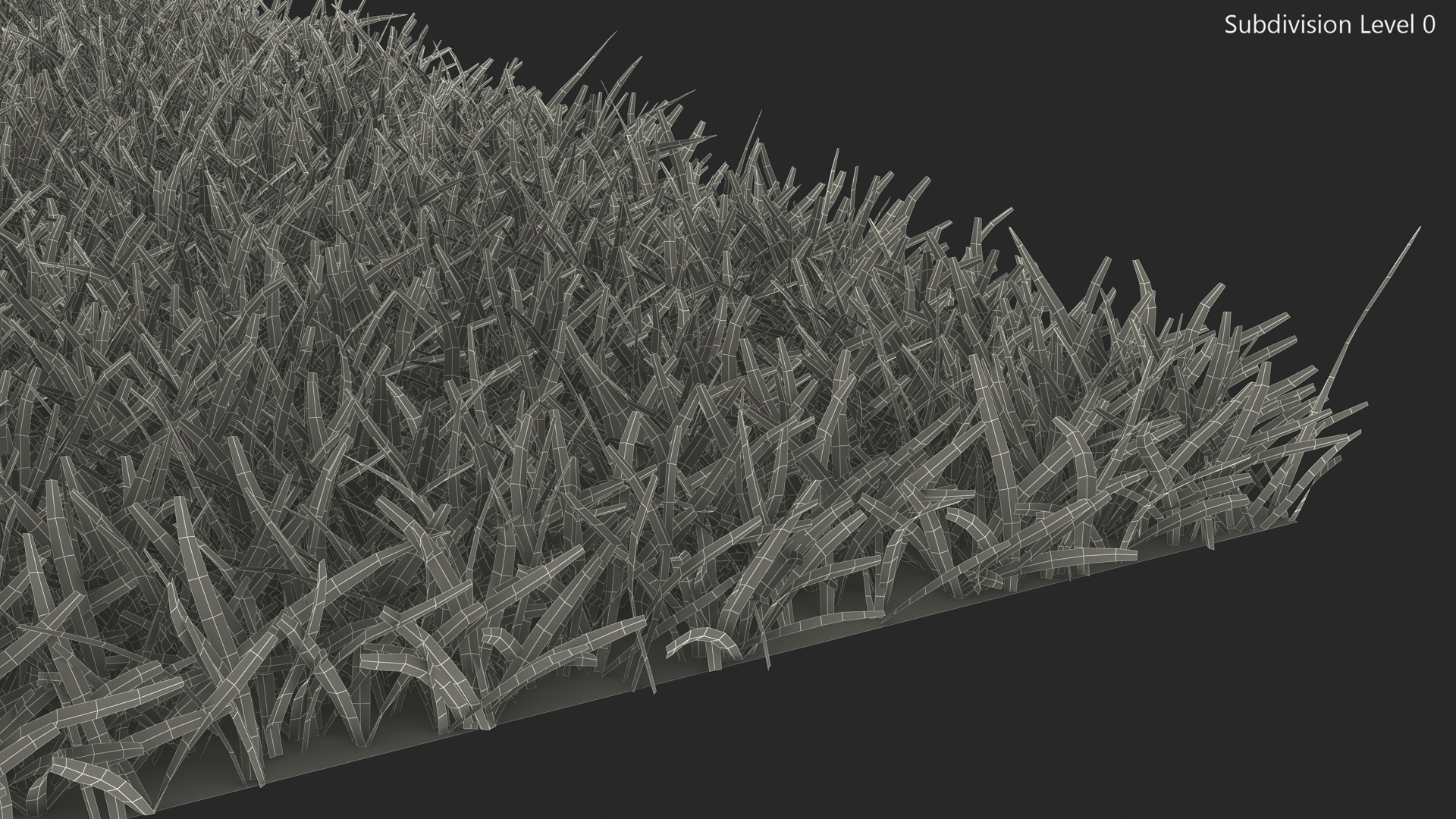 Warm Season Grass 3D