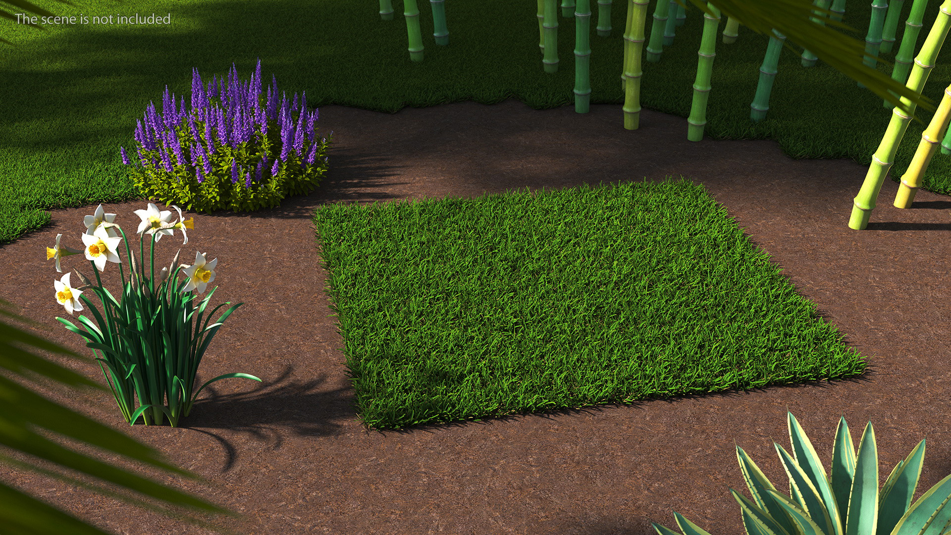 Warm Season Grass 3D