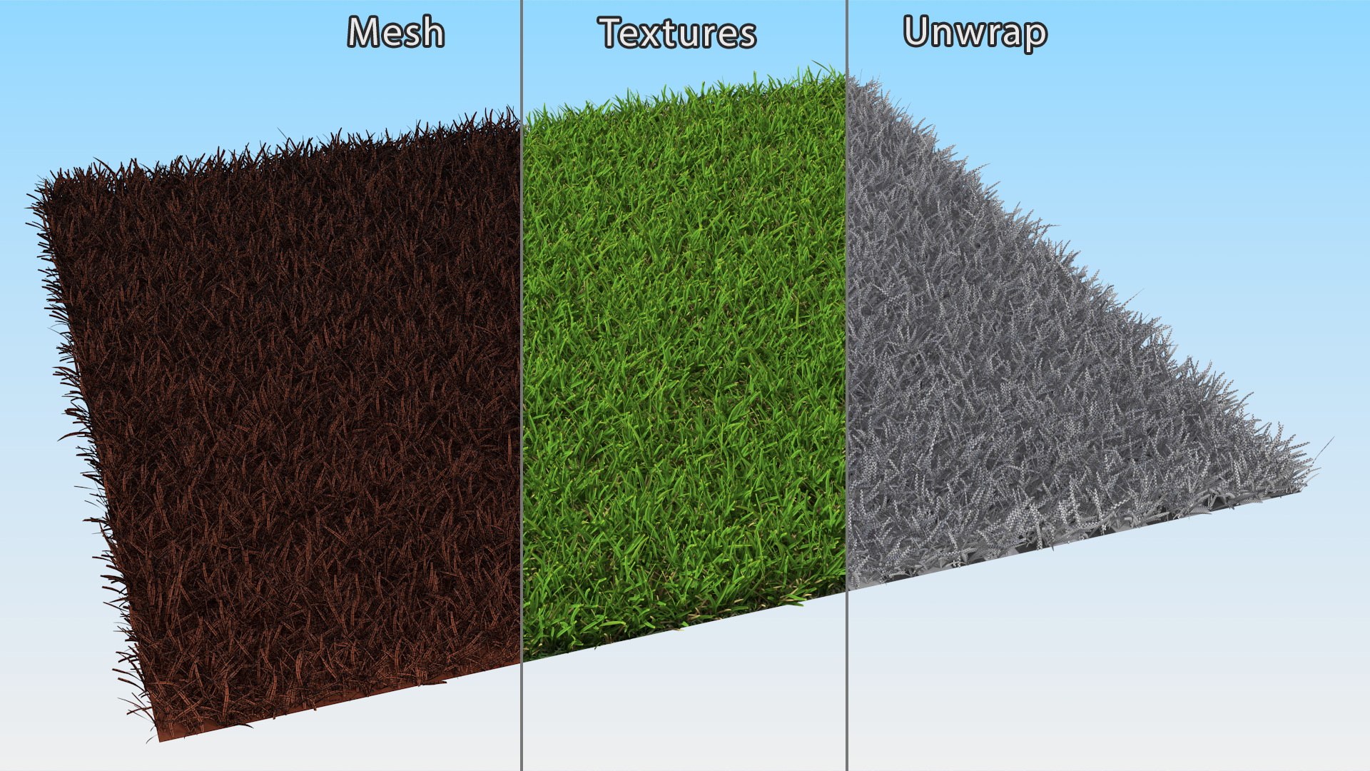 Warm Season Grass 3D