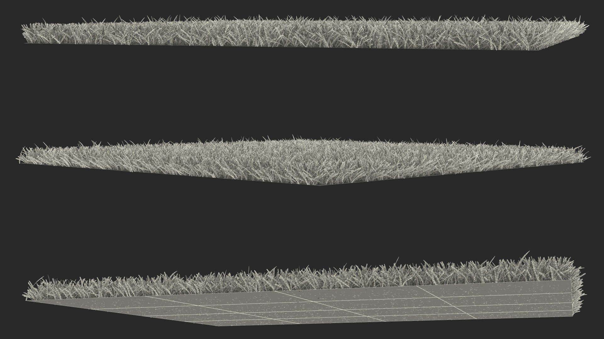 Warm Season Grass 3D