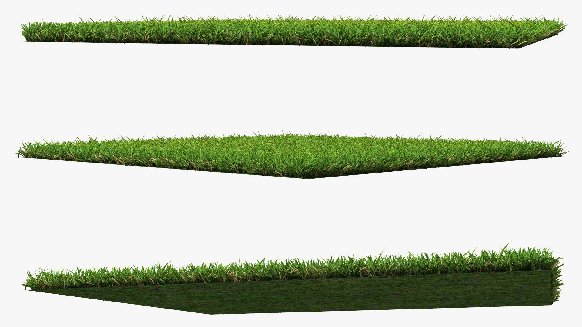 Warm Season Grass 3D