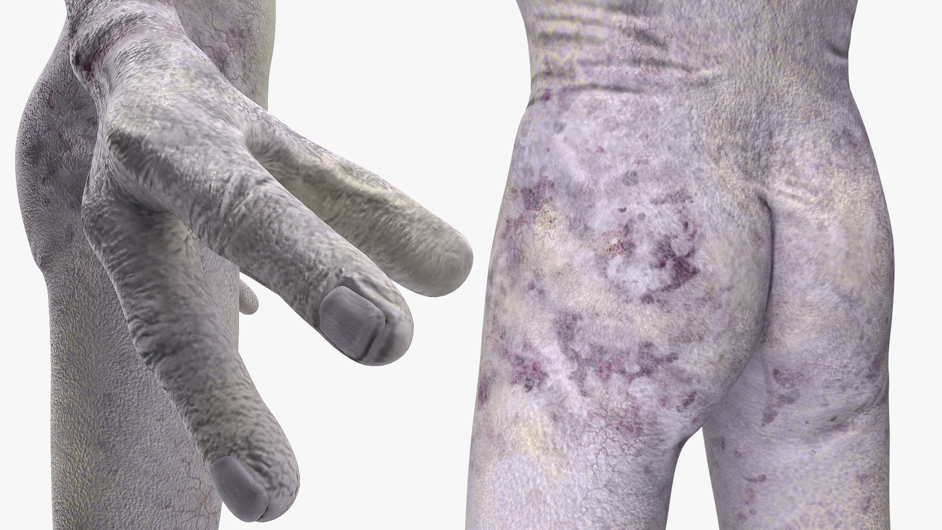 Humanoid Alien 3D model