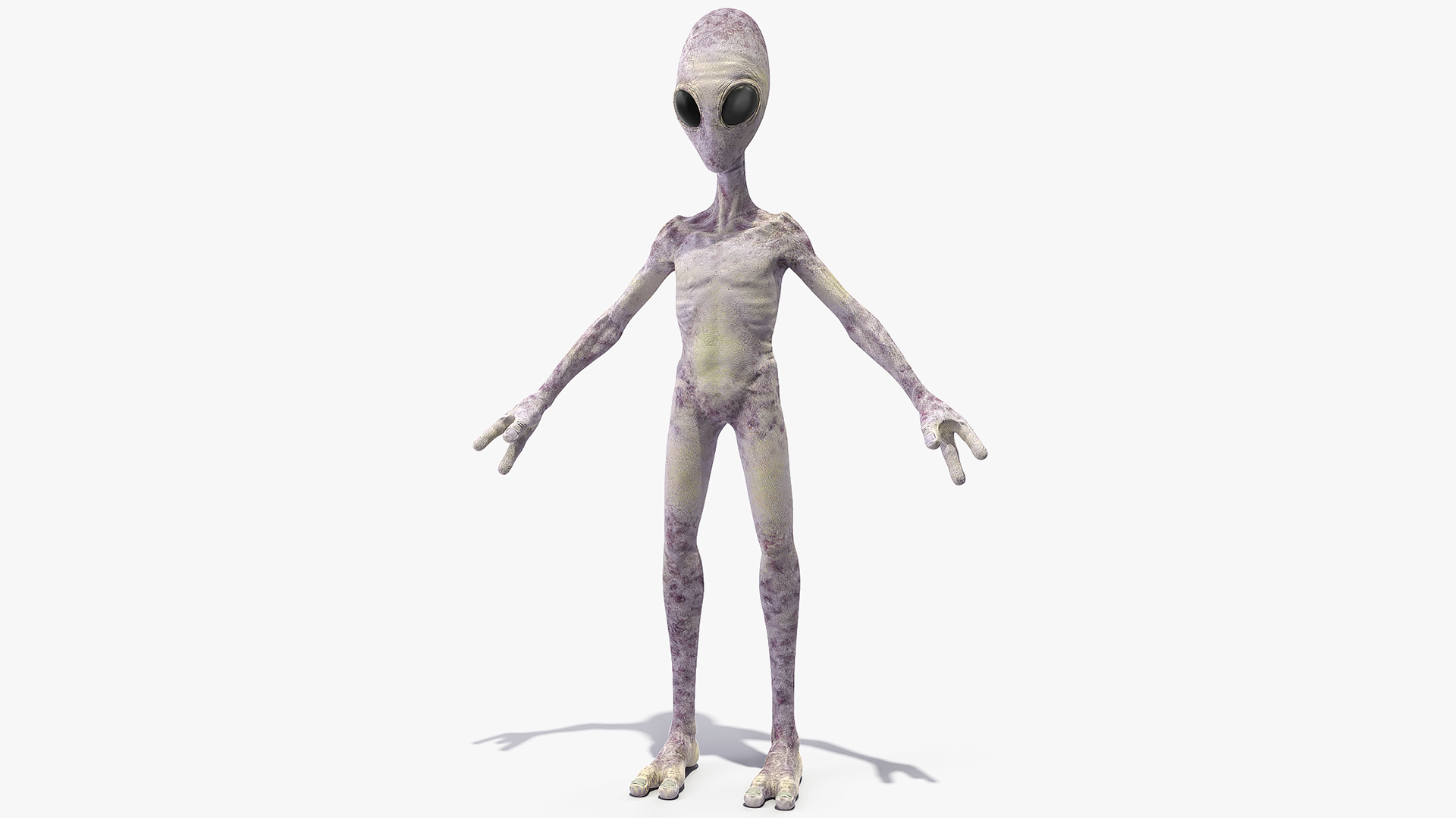 Humanoid Alien 3D model