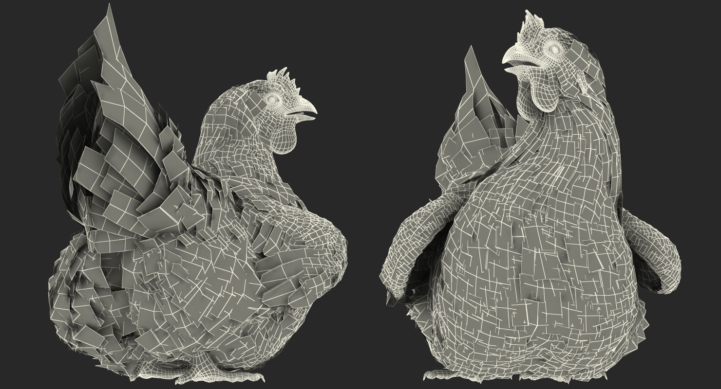 3D White Chicken Sitting Pose