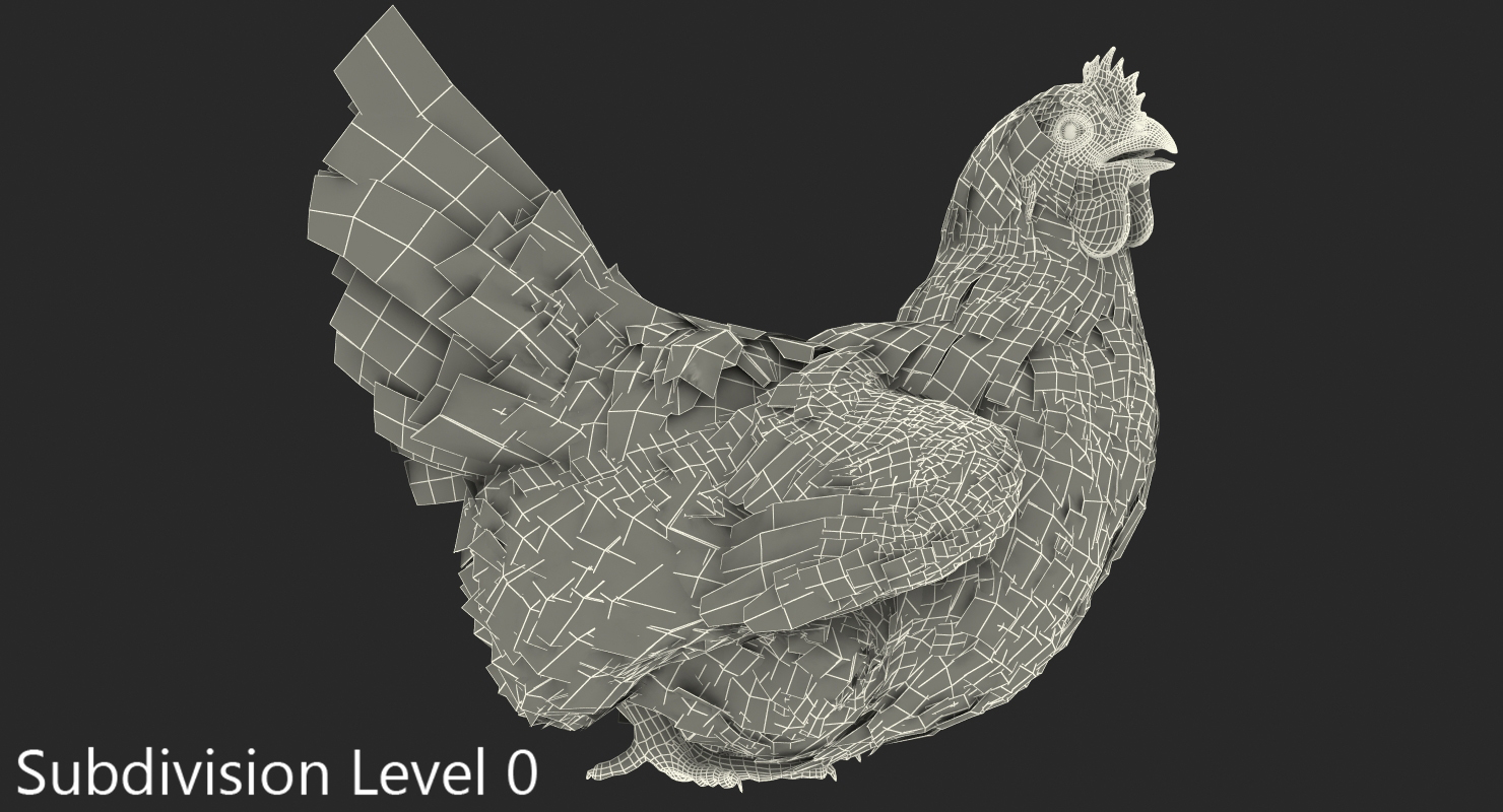 3D White Chicken Sitting Pose