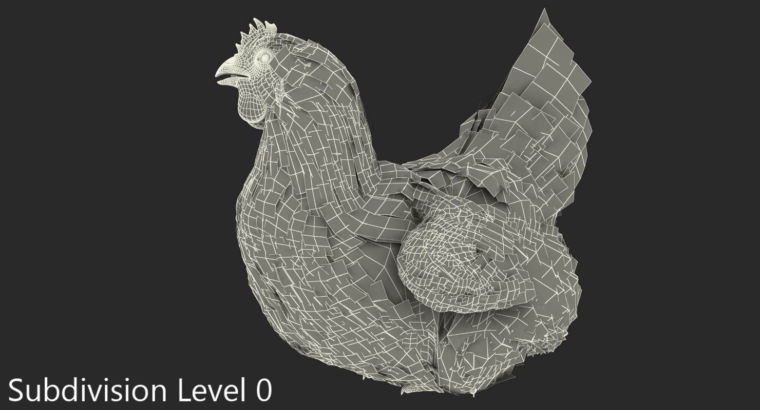 3D White Chicken Sitting Pose